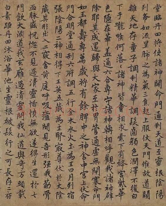 唐摹黄庭经全卷_10