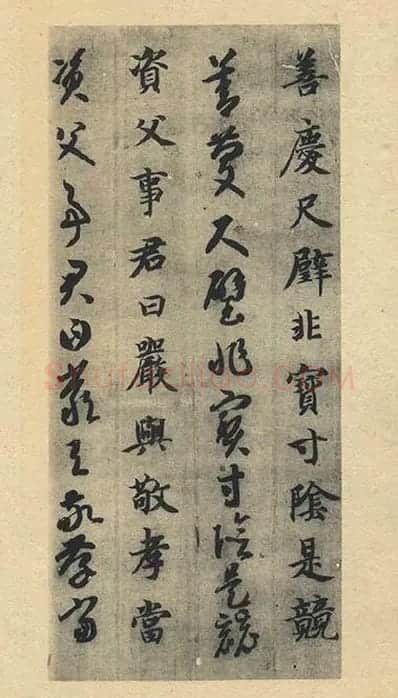 智永《真草千字文》墨迹本_19