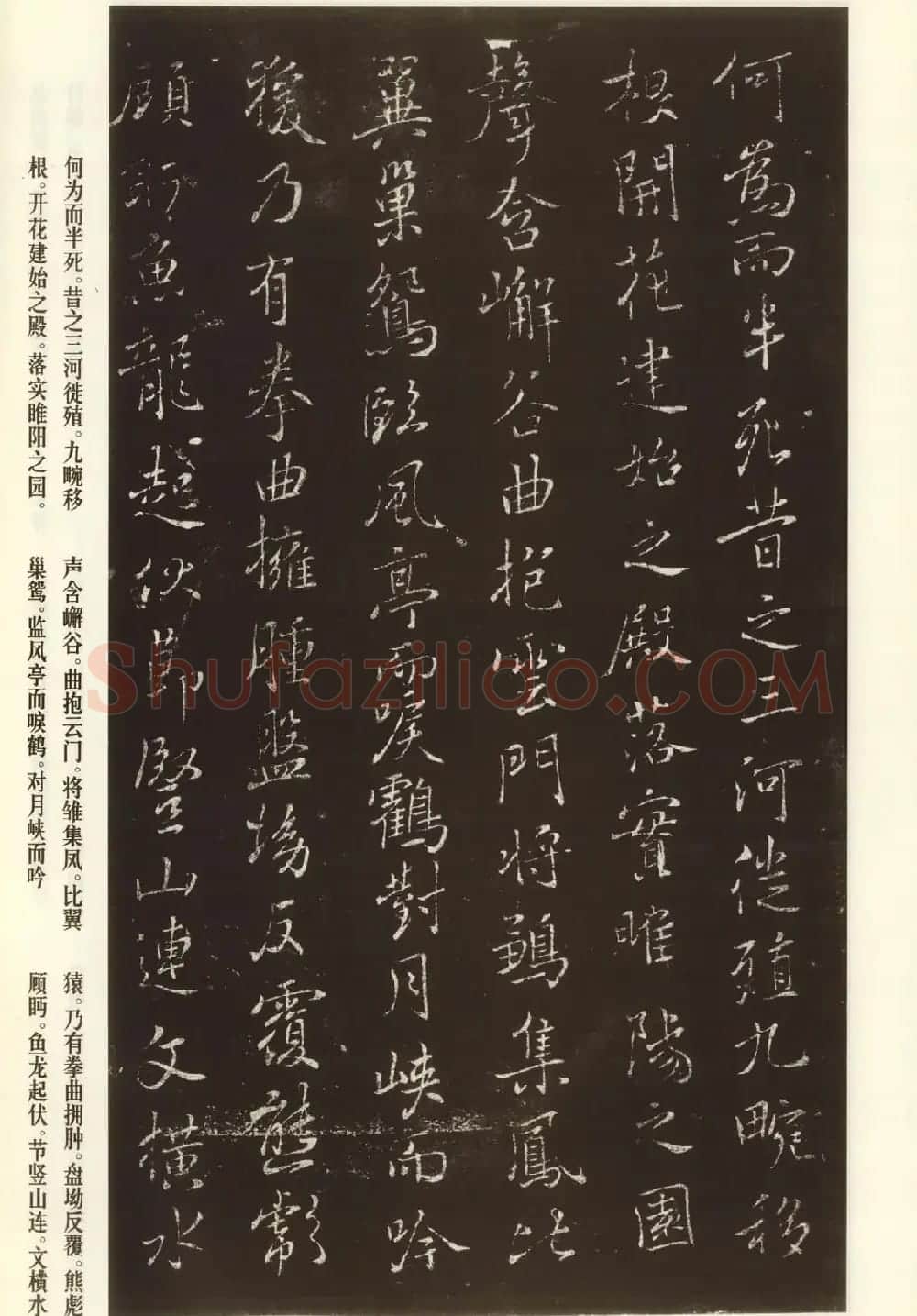 褚遂良书法欣赏《枯树赋》(大图) | 书法碑帖