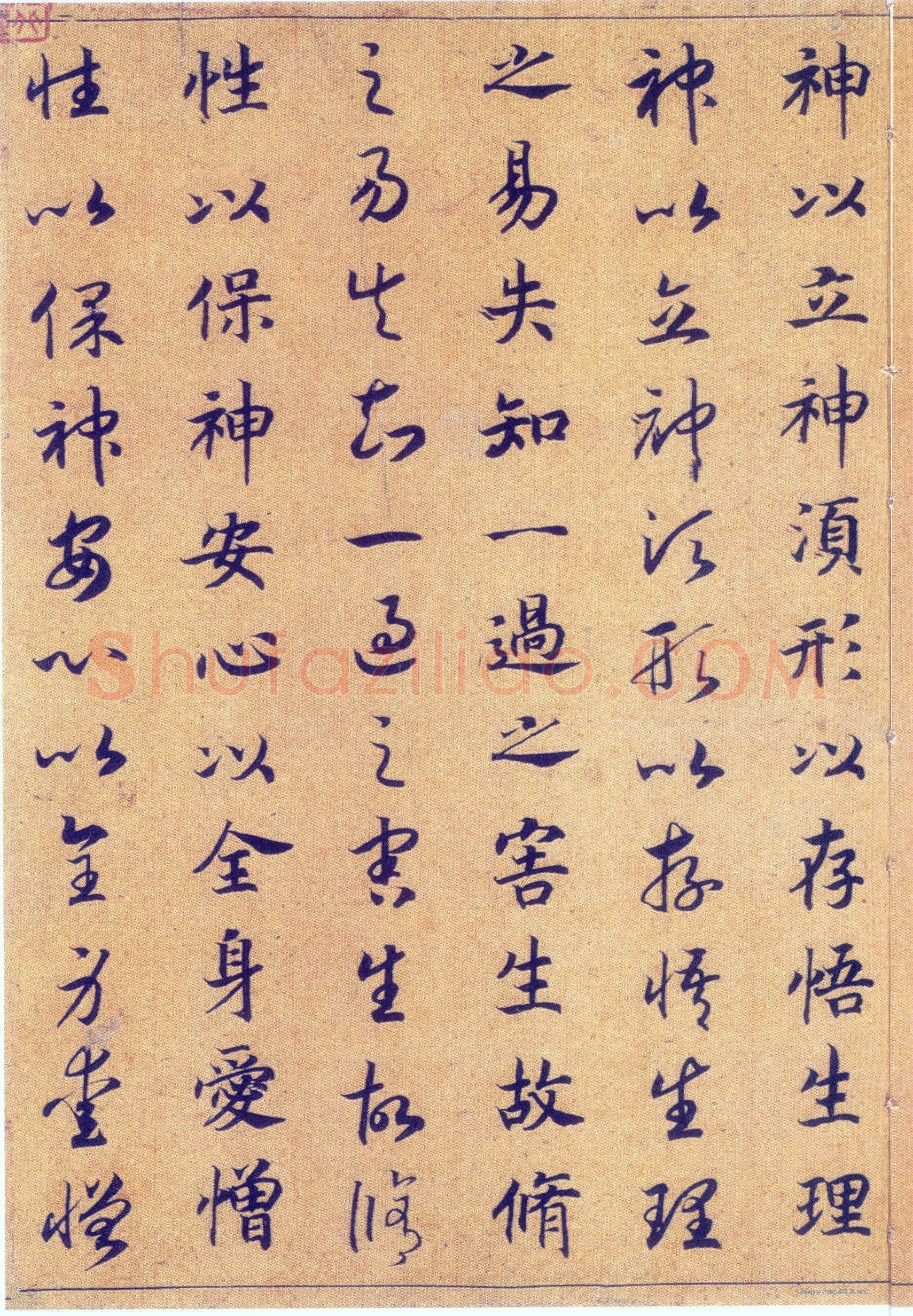 赵构《真草书养生论卷》纸本 23.5×602.8cm 上海博物馆藏
