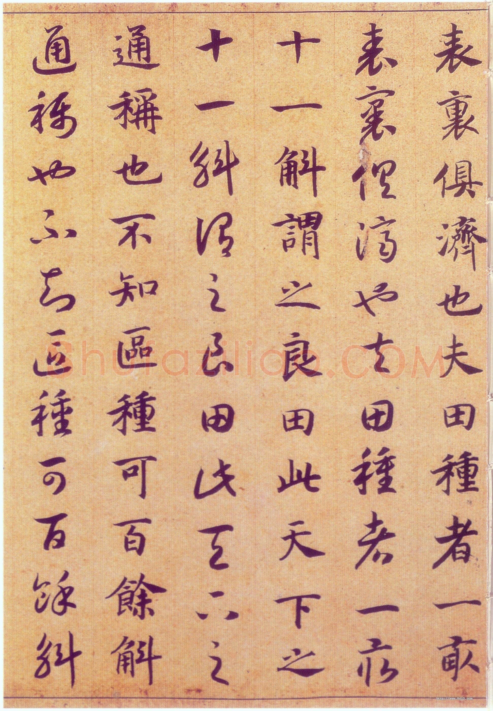赵构《真草书养生论卷》纸本 23.5×602.8cm 上海博物馆藏