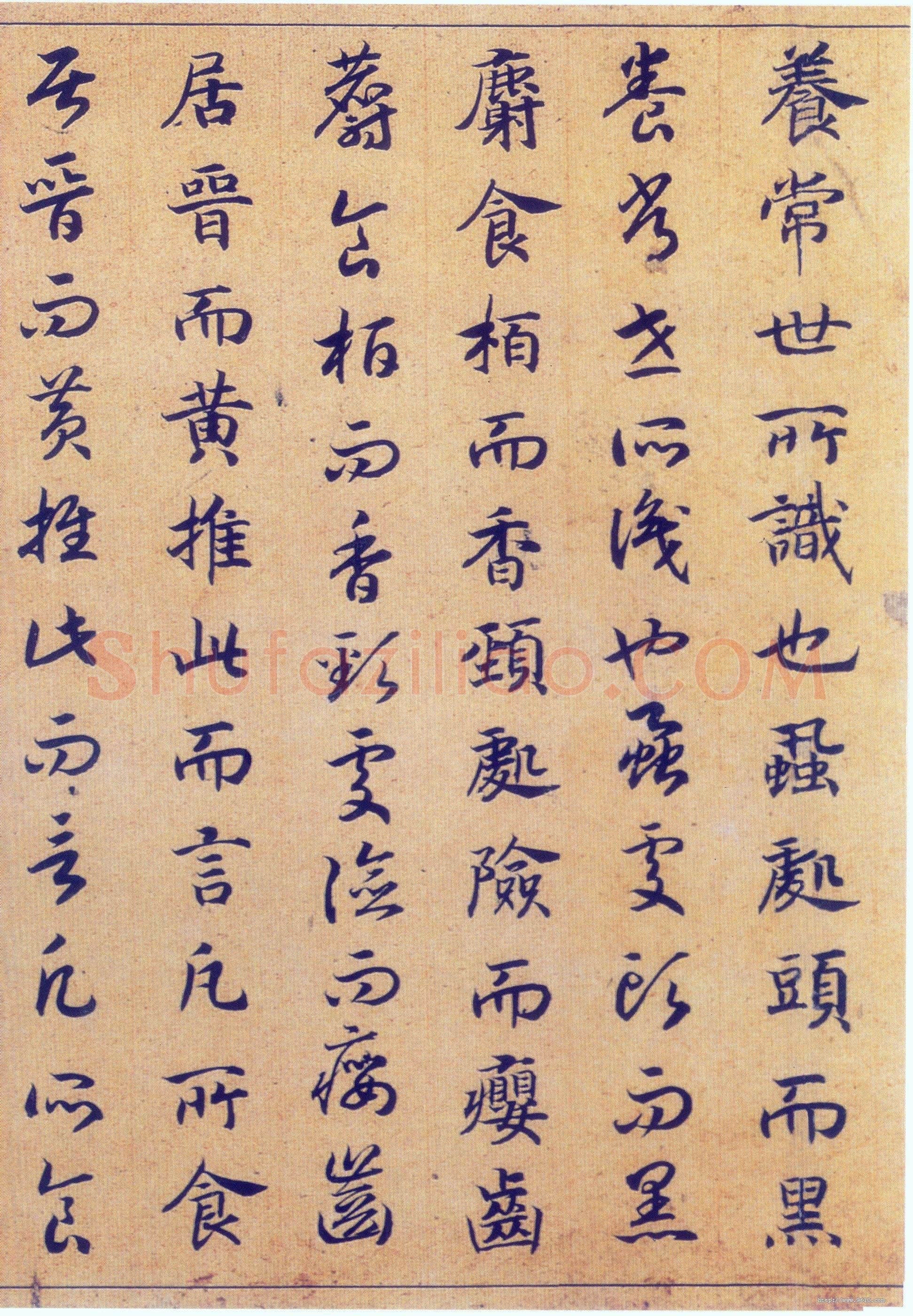 赵构《真草书养生论卷》纸本 23.5×602.8cm 上海博物馆藏