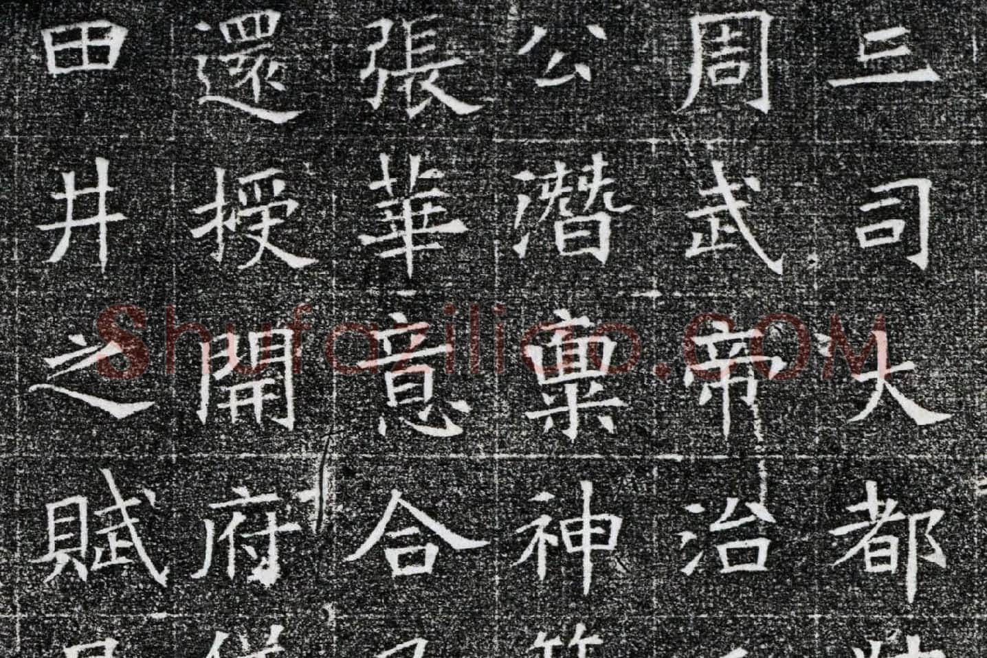 隋代楷书《苏慈墓志铭》局部 (4)