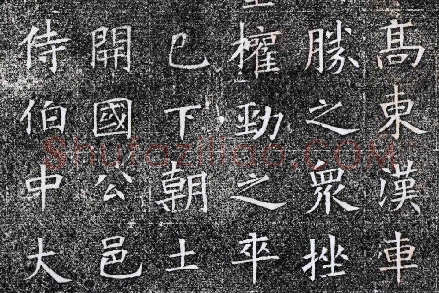 隋代楷书《苏慈墓志铭》局部 (6)