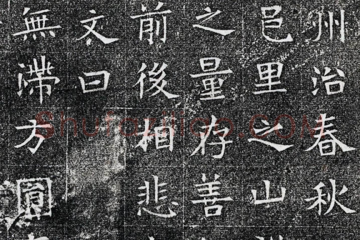 隋代楷书《苏慈墓志铭》局部 (8)