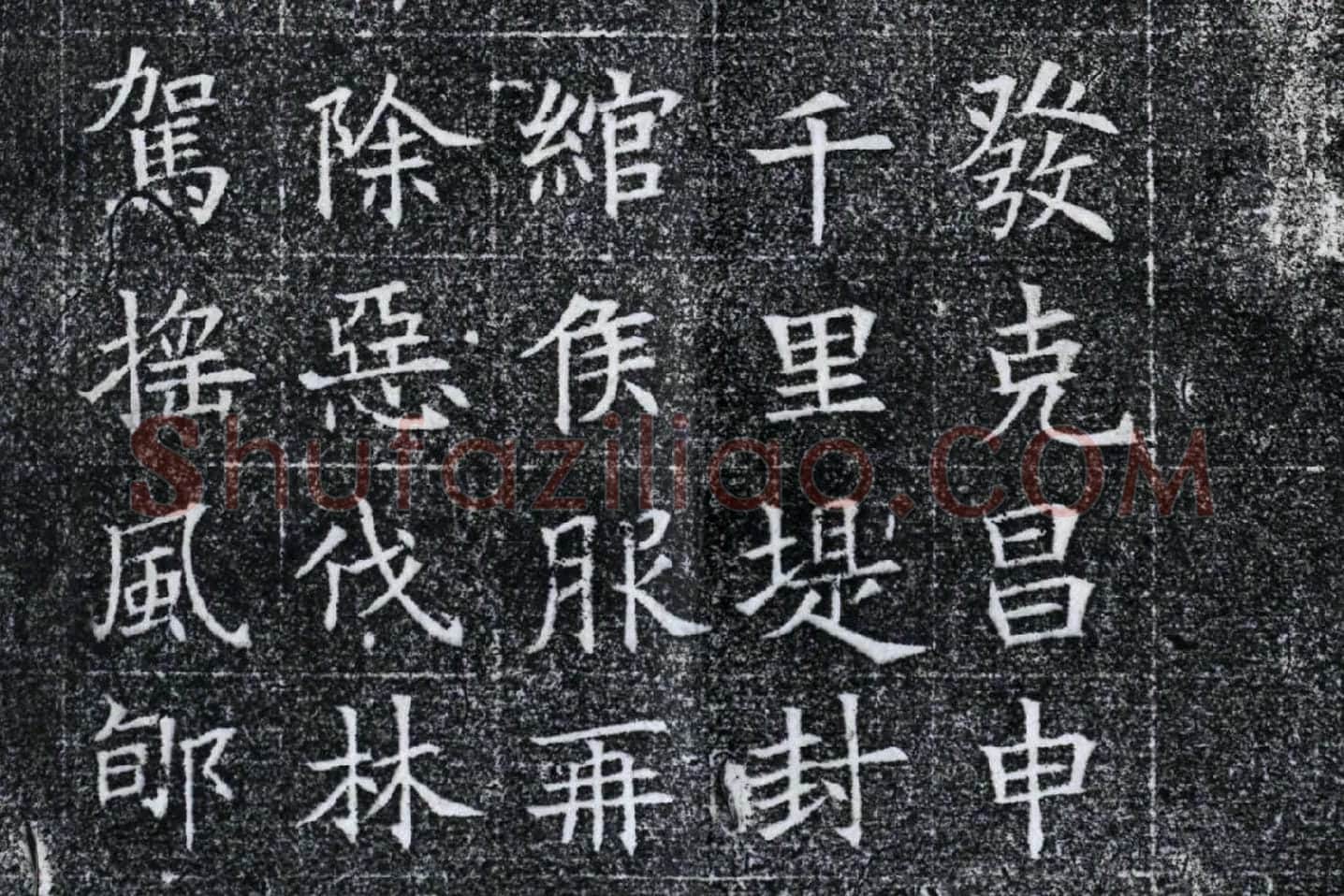 隋代楷书《苏慈墓志铭》局部 (9)