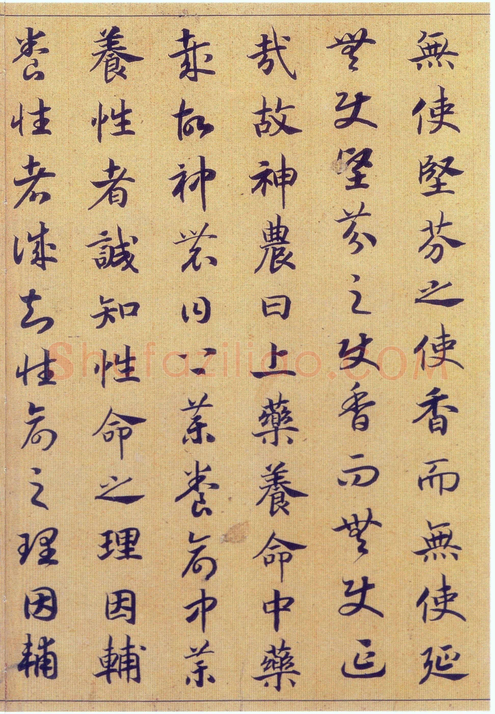 赵构《真草书养生论卷》纸本 23.5×602.8cm 上海博物馆藏