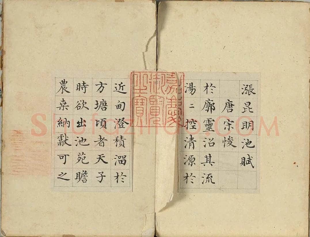 陈邦彦书唐人赋册 (1)