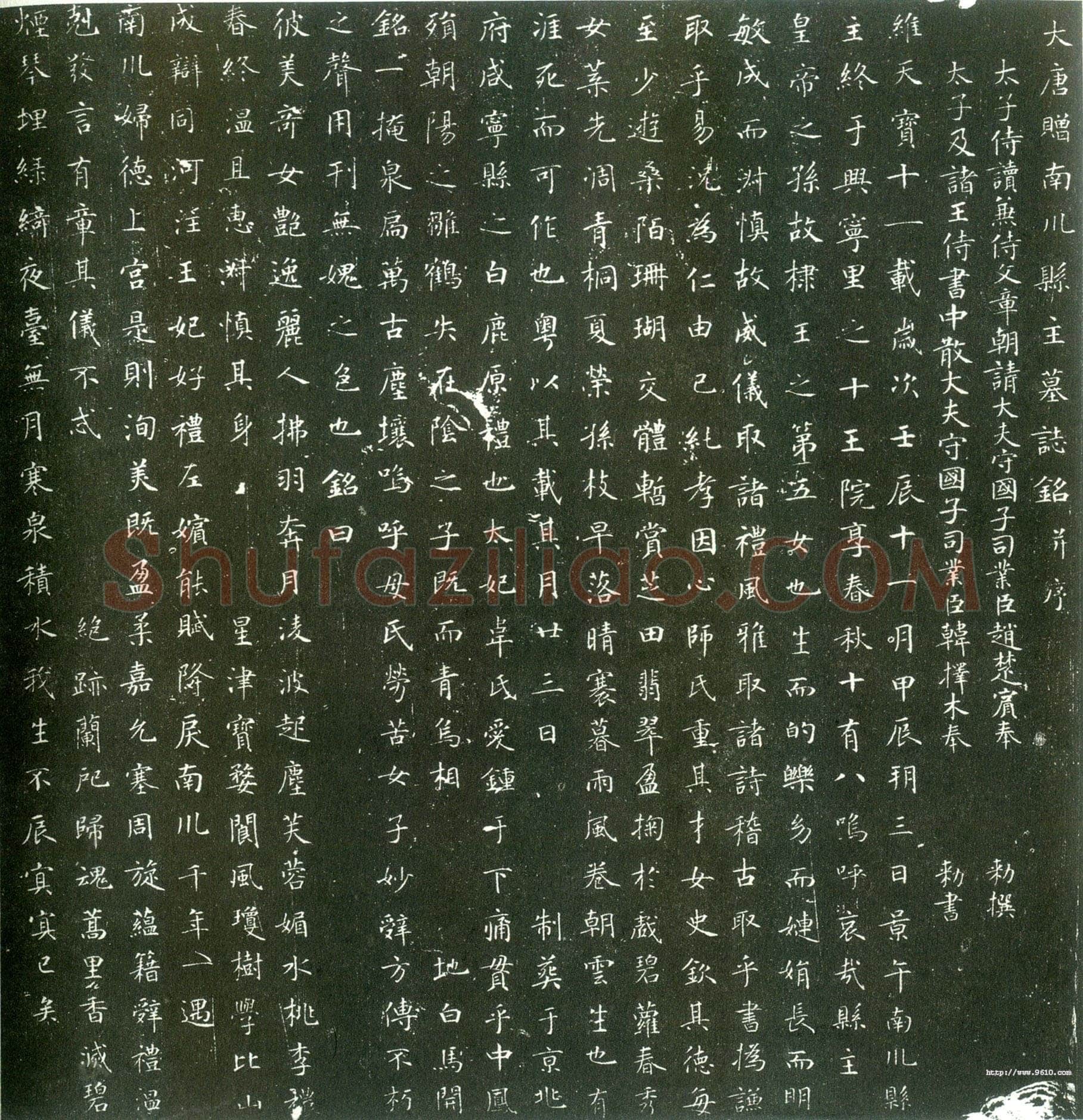 唐代 韩择木《叶慧明碑 荐福寺临坛大戒德律师碑 南川县主墓志 南川县主墓志》局部