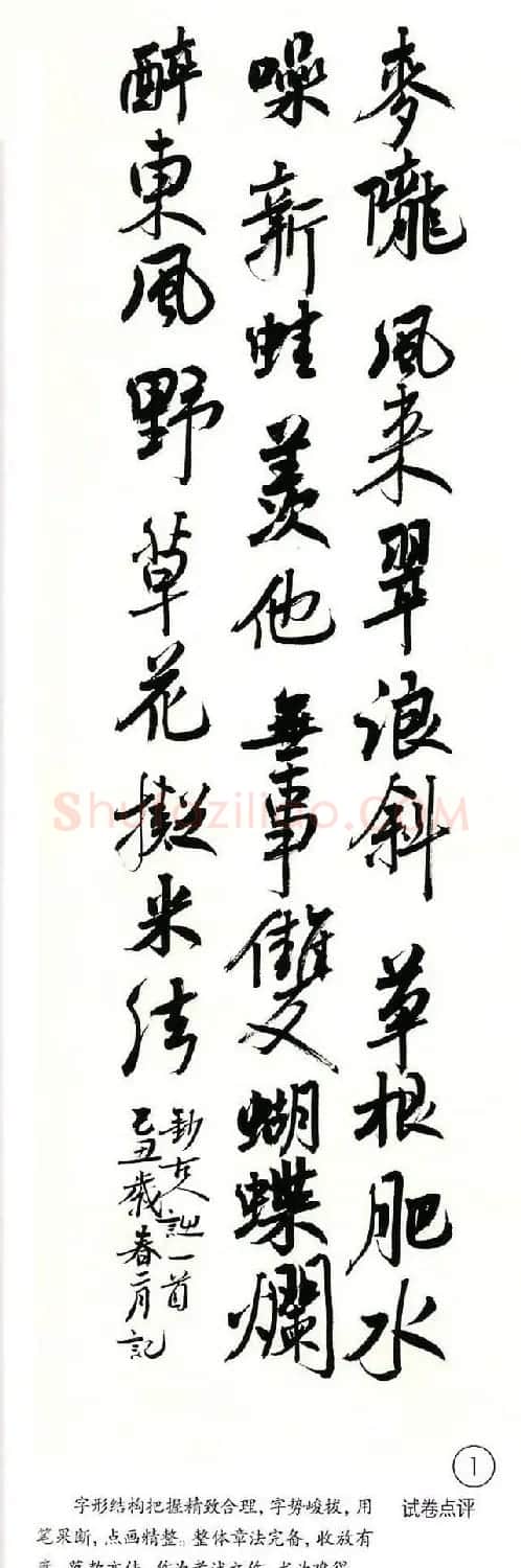 中央美院书法高考优秀试卷附点评 | 书法作品赏析