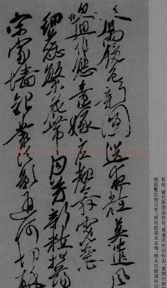 徐渭草书作品《月下梨花》 | 名家书法作品精选