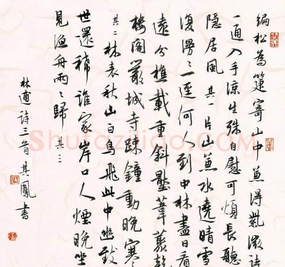 张其凤毛笔书法作品欣赏 | 书法作品赏析