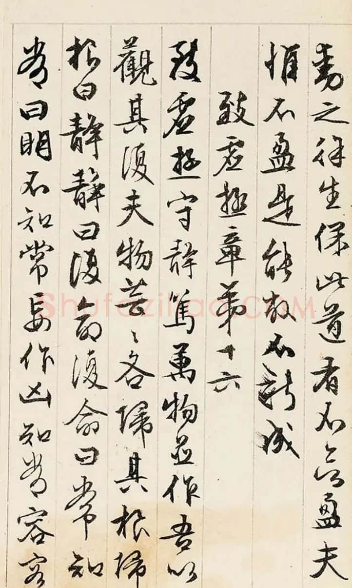 文徵明89岁行书《道德经》册页 | 毛笔书法作品