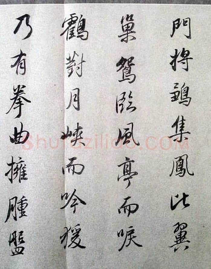 明末董其昌行书《临褚遂良枯树赋》两种 | 名家书法作品赏析