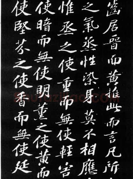 苏轼小楷欣赏《养生论》拓本 | 软笔书法作品
