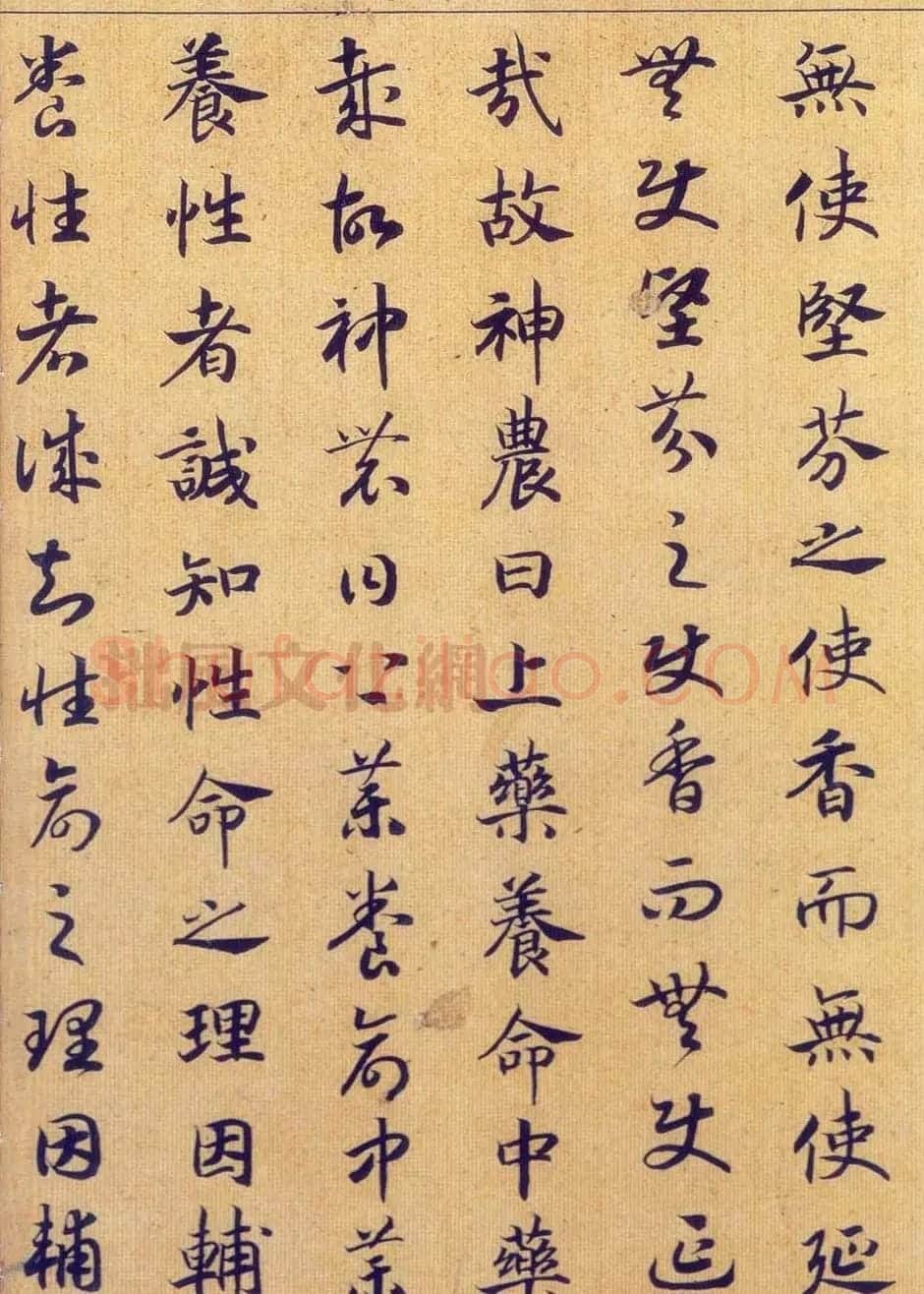 宋高宗赵构真草书法欣赏《嵇康养生论卷》 | 书法长卷