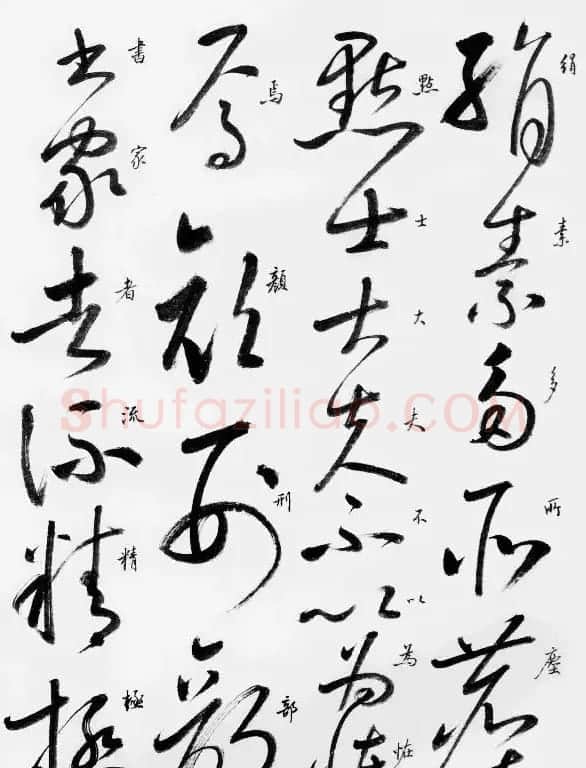启功草书临唐怀素自叙帖 | 软笔草书字帖
