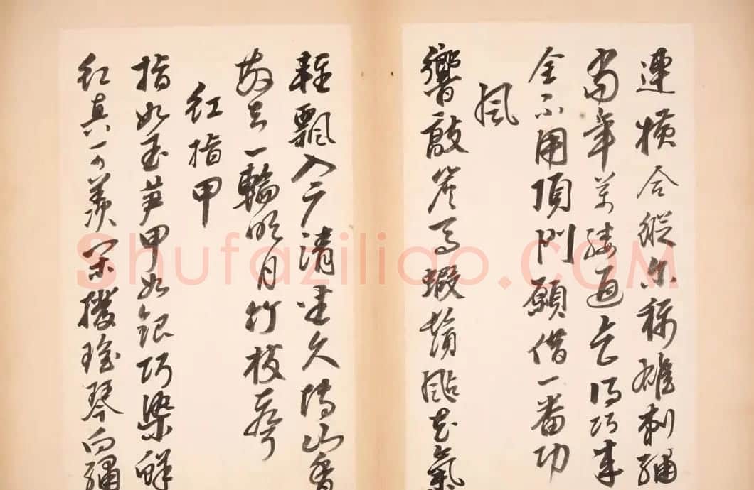 明代女书画家邢慈静草书欣赏 | 名家书法作品赏析