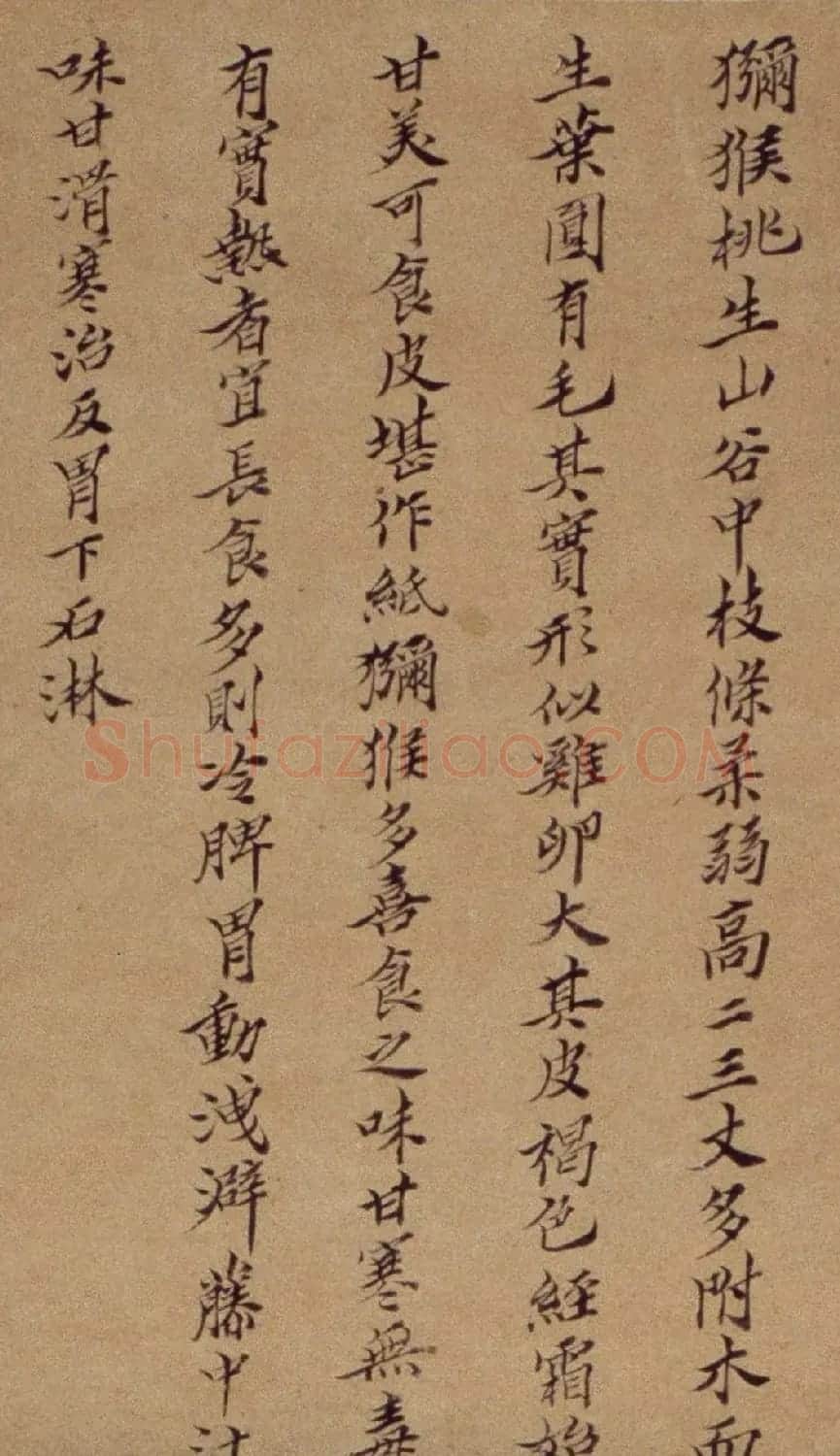 周淑禧、周淑祜两姐妹小楷《本草图》四条屏 | 传世书法作品精选