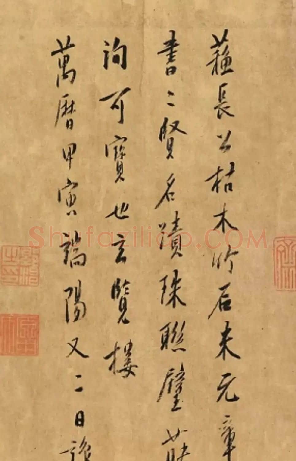 米芾行书题跋苏轼《枯木怪石图》 | 毛笔书法作品