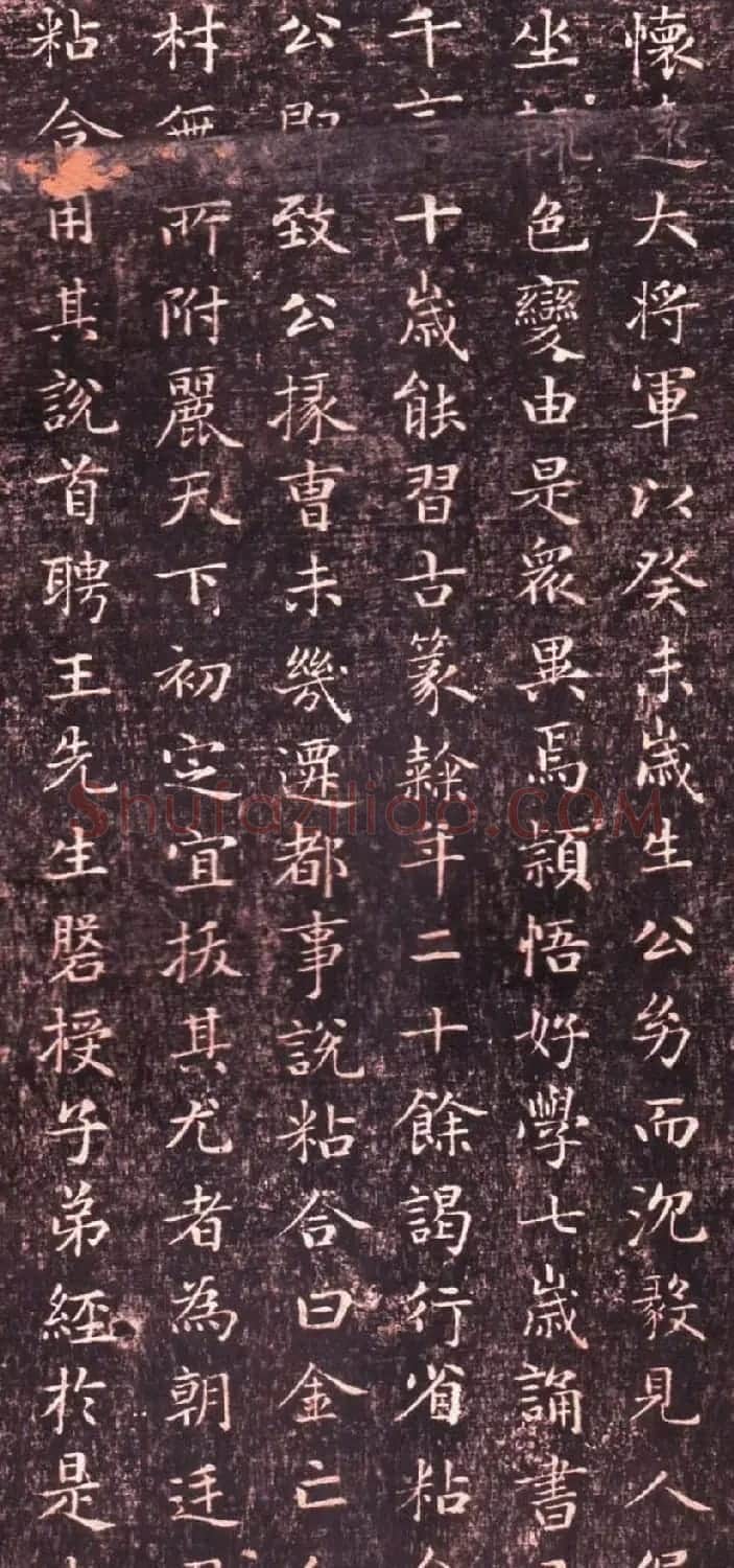 赵孟頫小楷书法欣赏《闲邪公家传》 | 书法名家作品欣赏