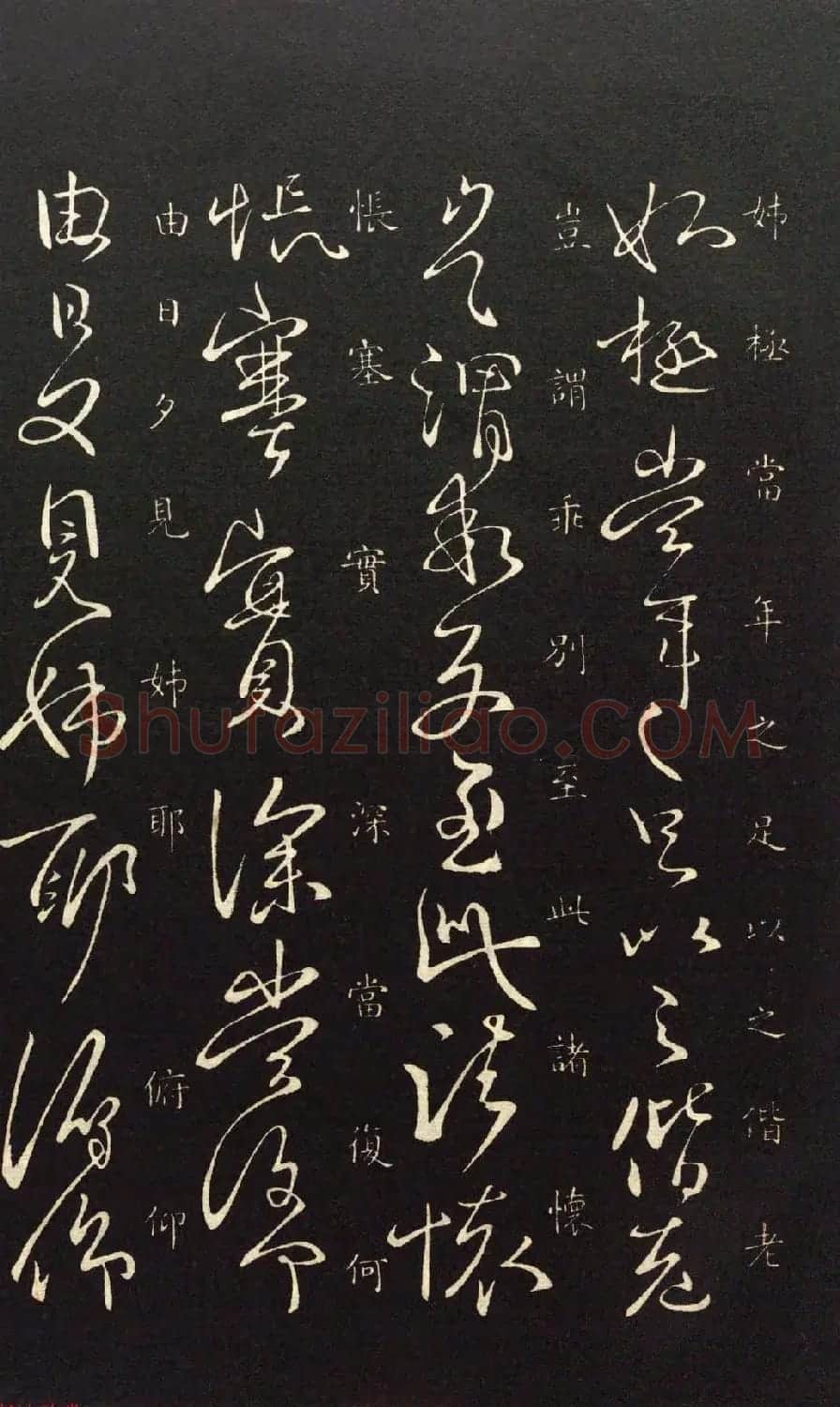 王献之33岁行草书法《奉对帖》两种 | 名家书法作品精选