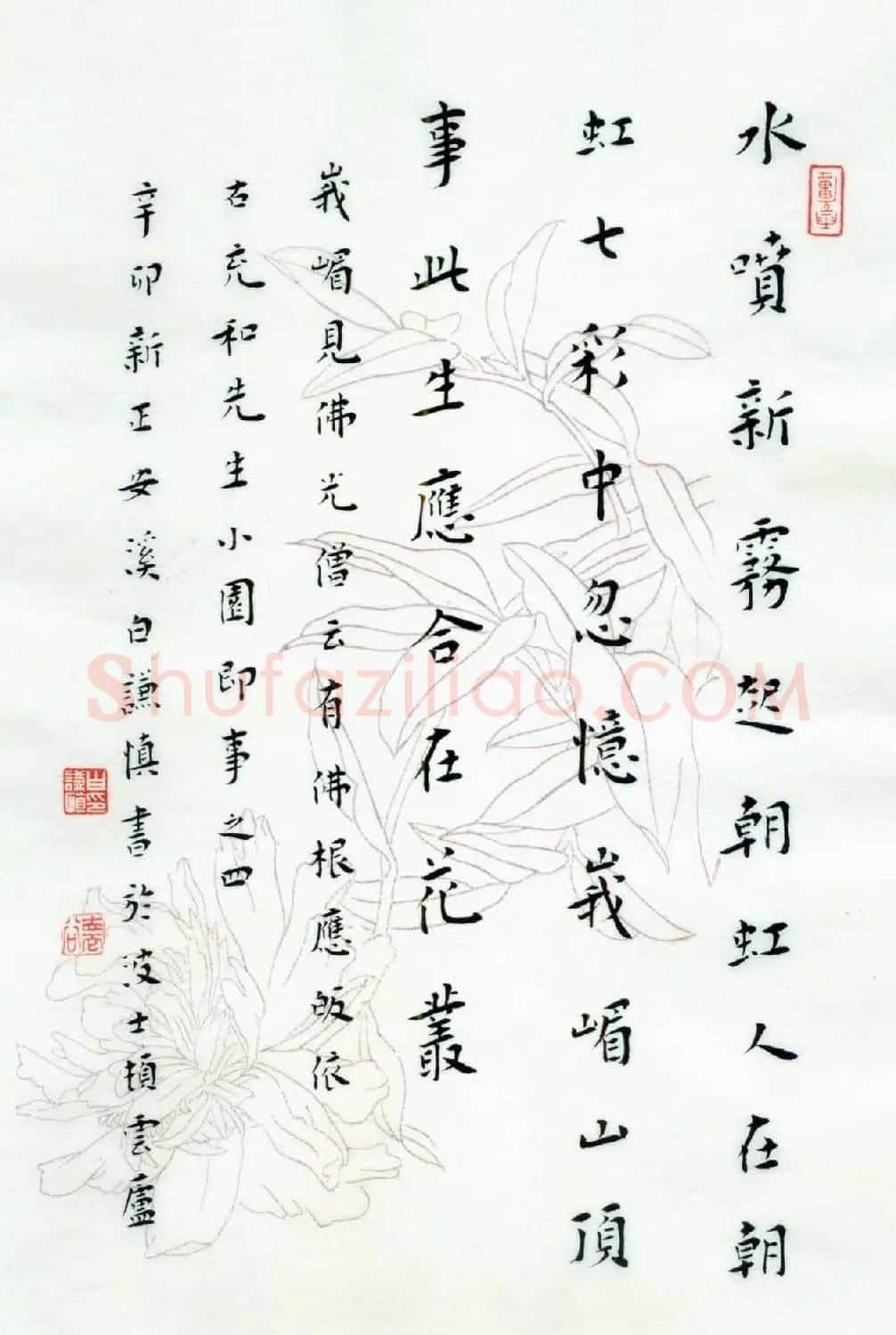 白谦慎楷书册页欣赏《小园即事》 | 书法作品鉴赏