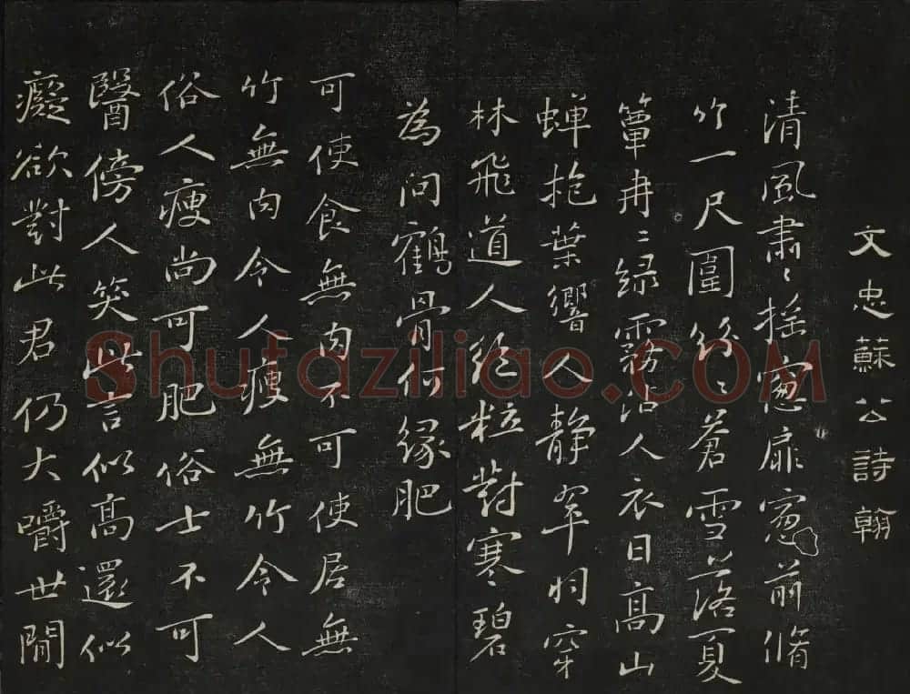 苏轼法帖欣赏 御赐澄清堂第三册 | 书法碑帖