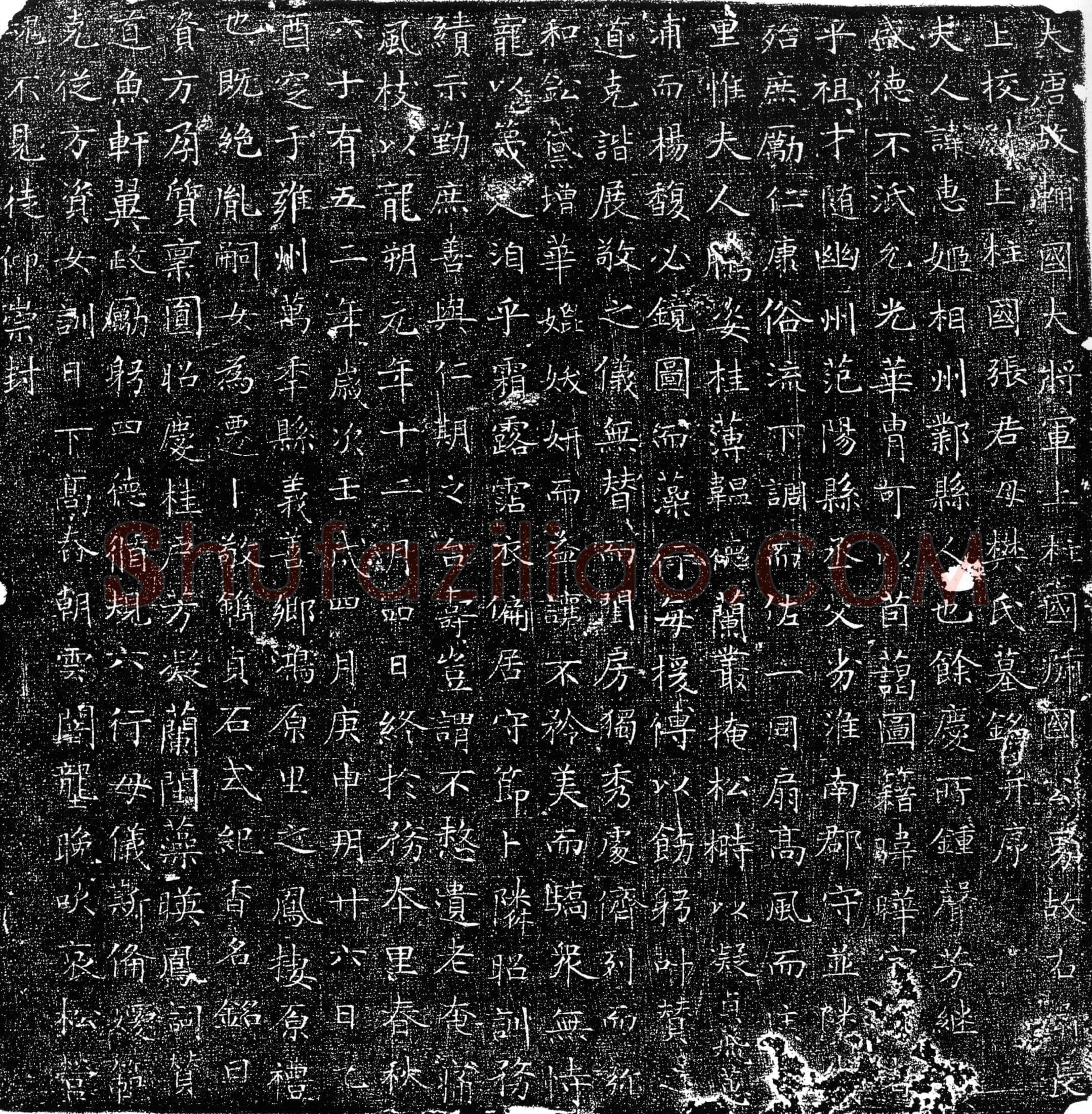 唐樊惠姬墓誌(大唐故辅国大将军上柱国虢国公男故右卫长上校尉上柱国张君母樊氏墓铭并序)