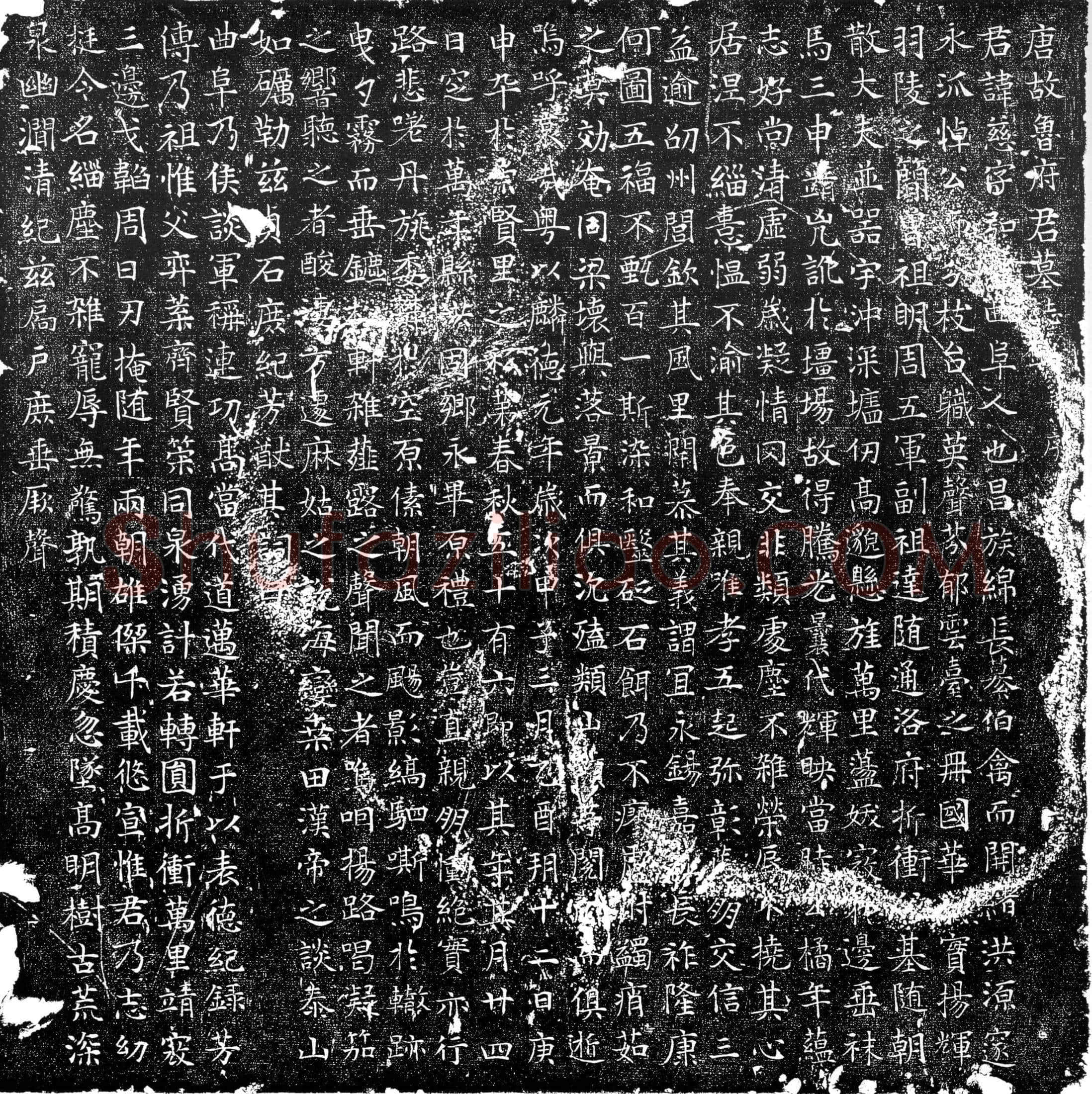 唐 鲁总 墓誌