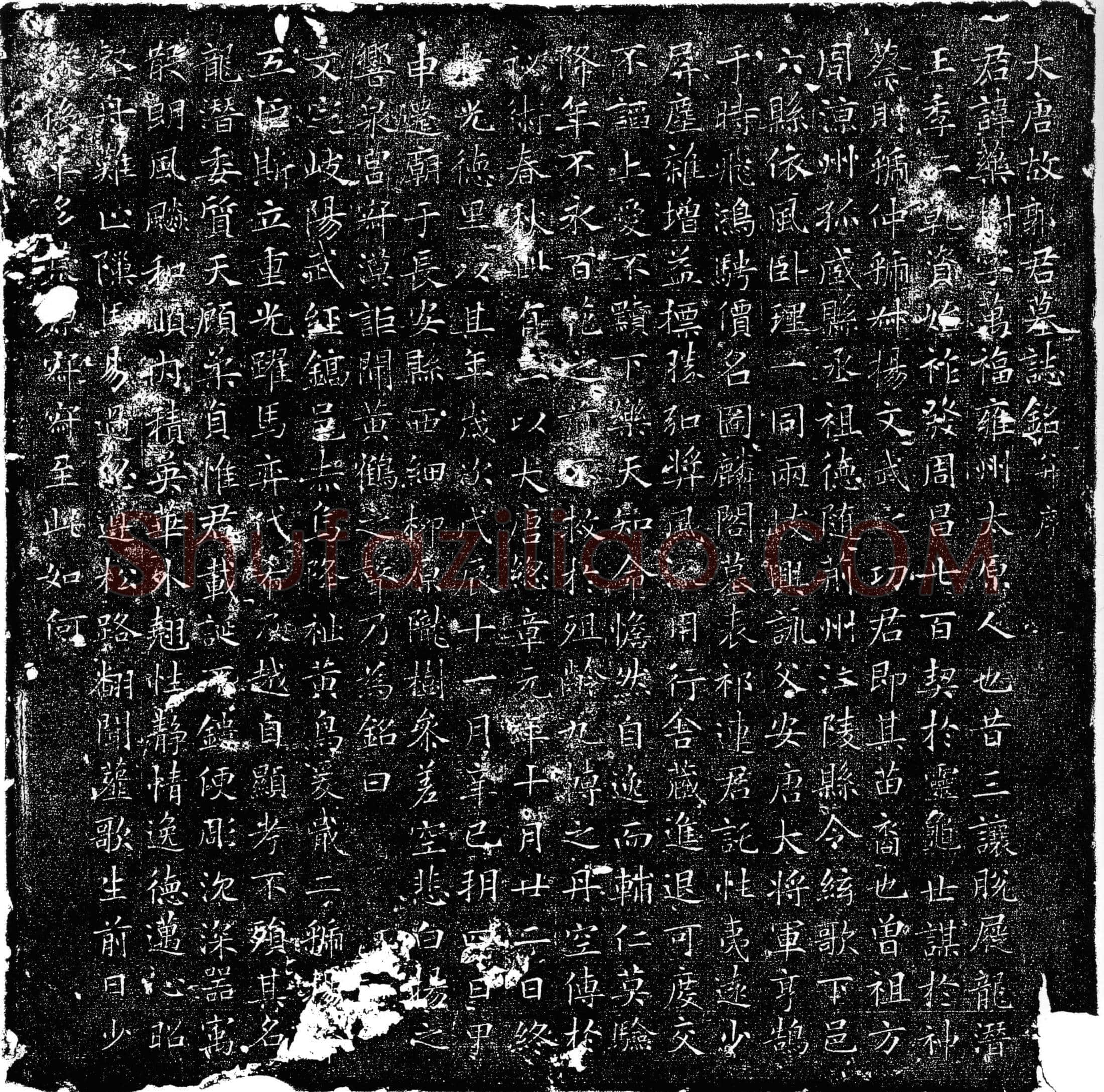 唐 郭药树 墓誌