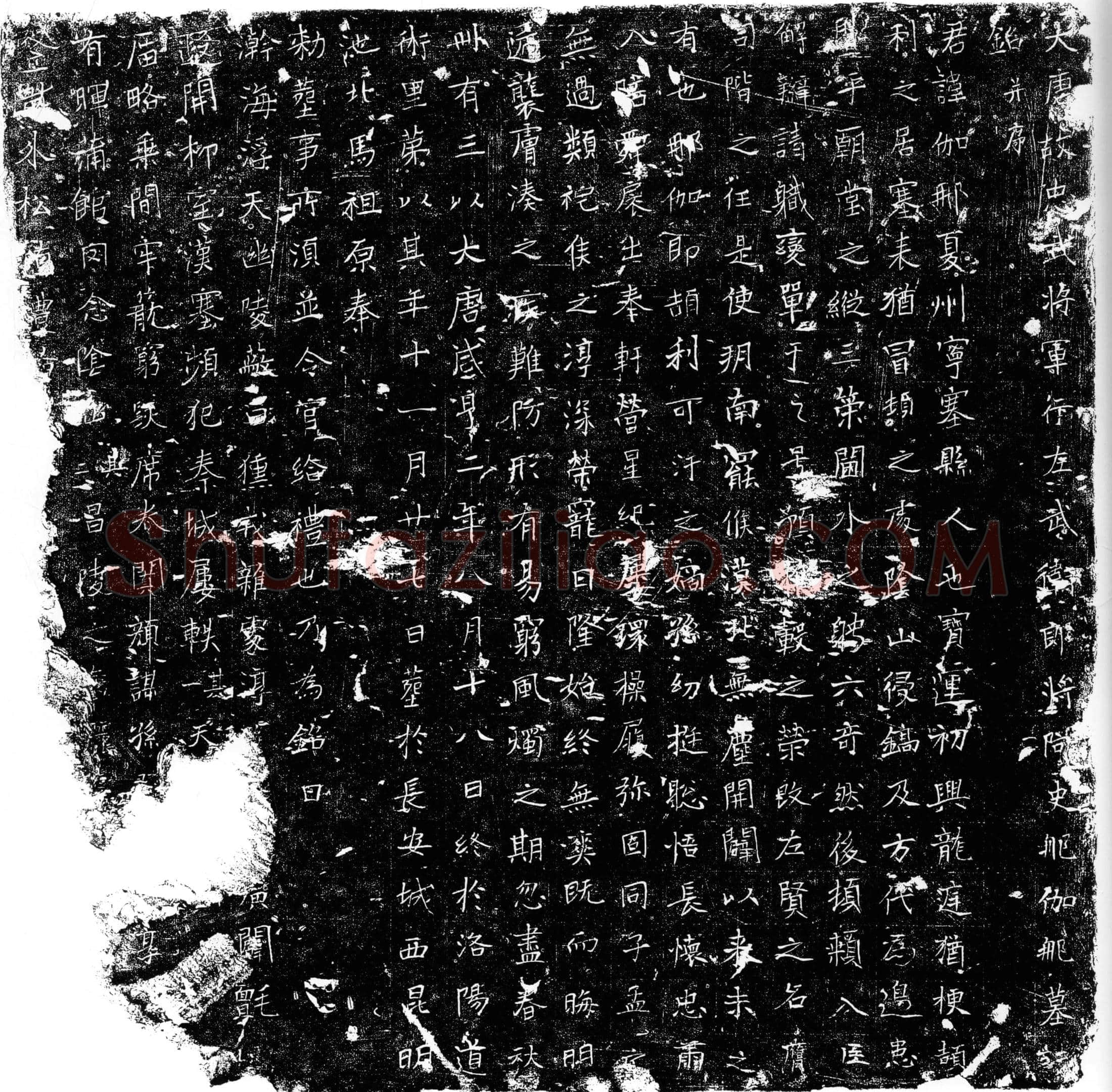 唐 阿史那伽那 墓誌