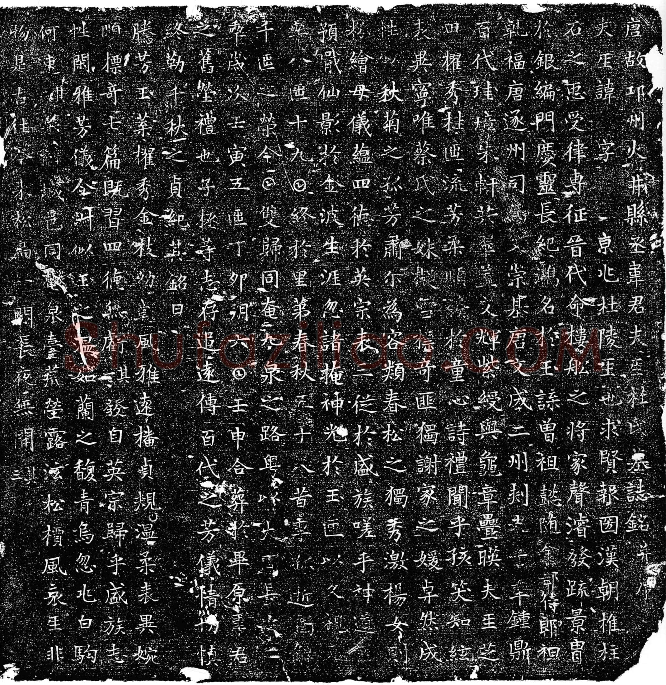 唐 韦君夫人杜氏 墓誌