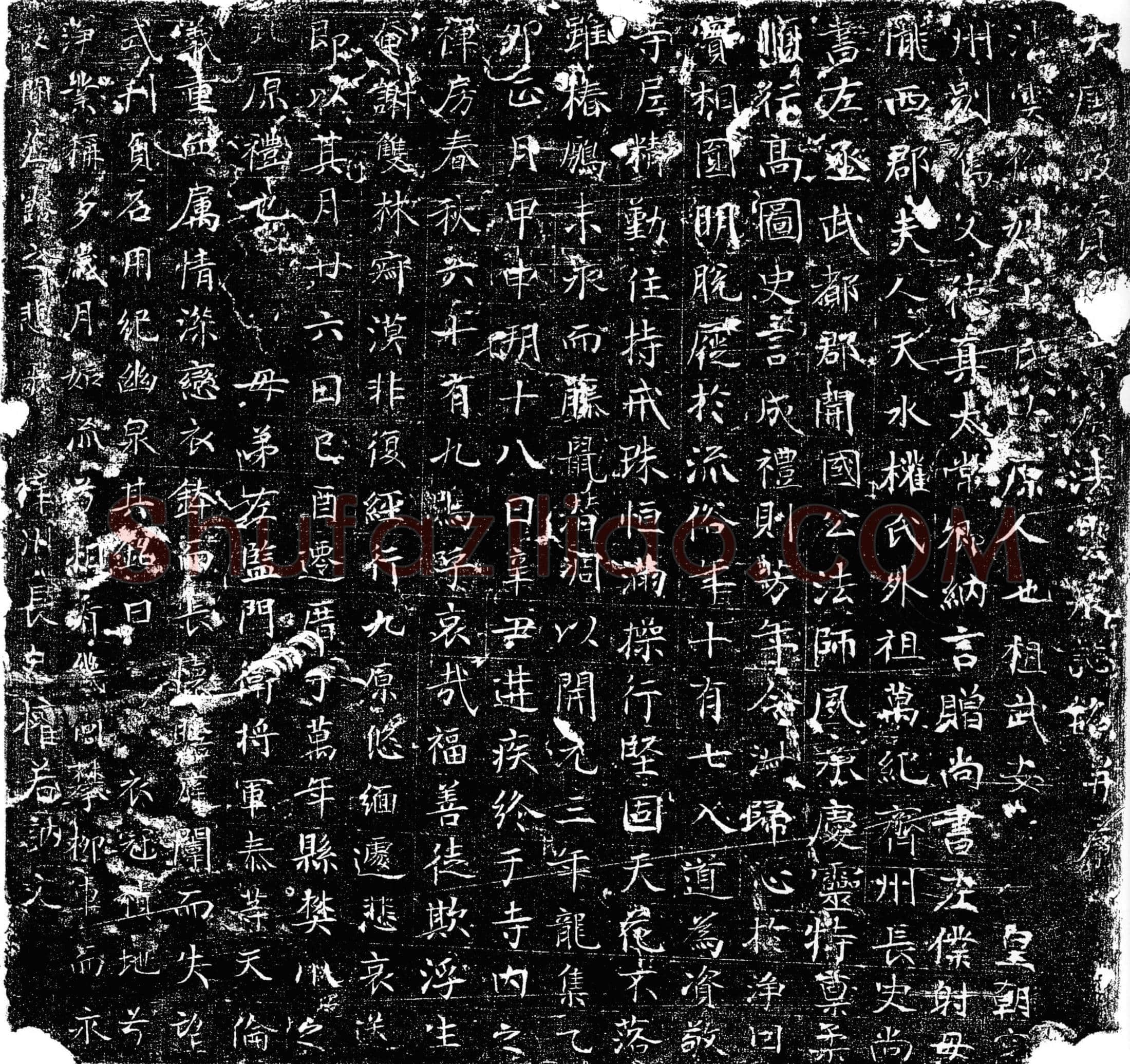 唐 法云 墓誌