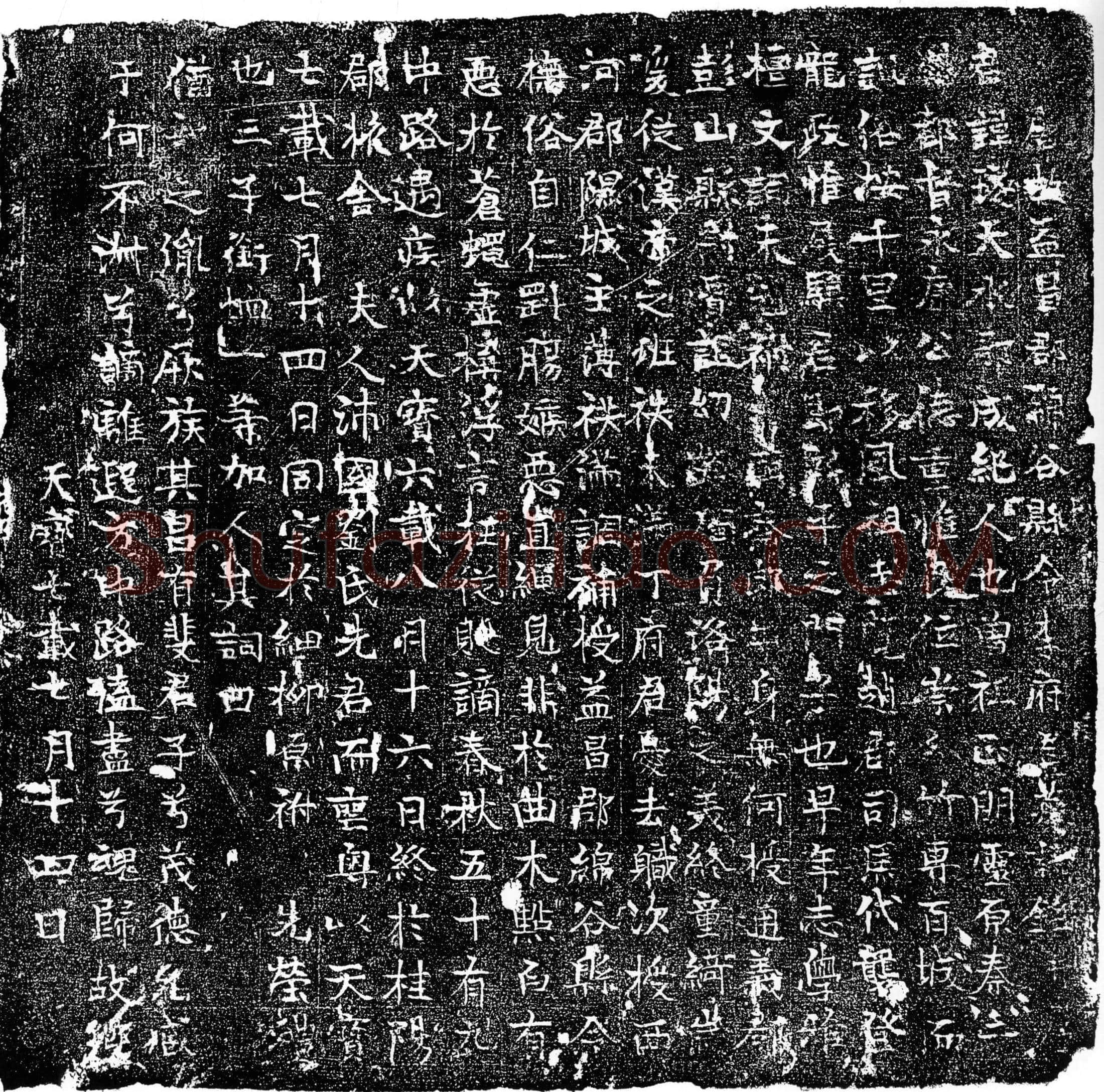 唐 李璲 墓誌