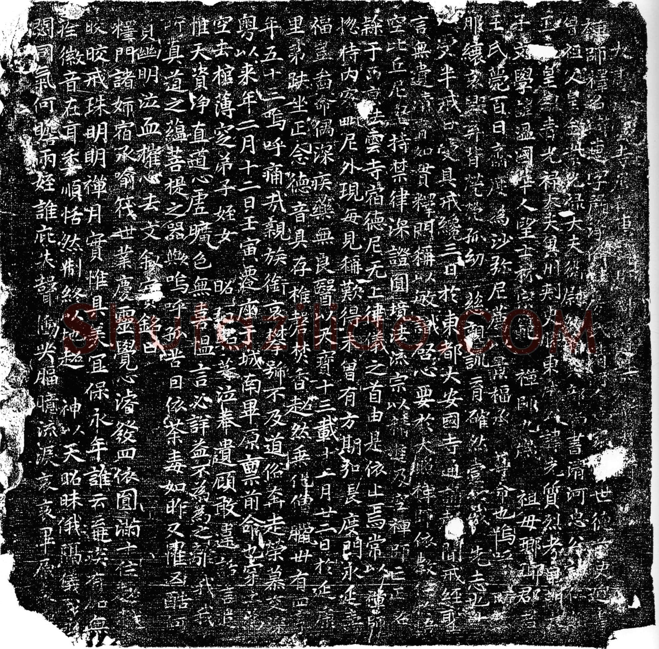 唐 辩惠 墓誌