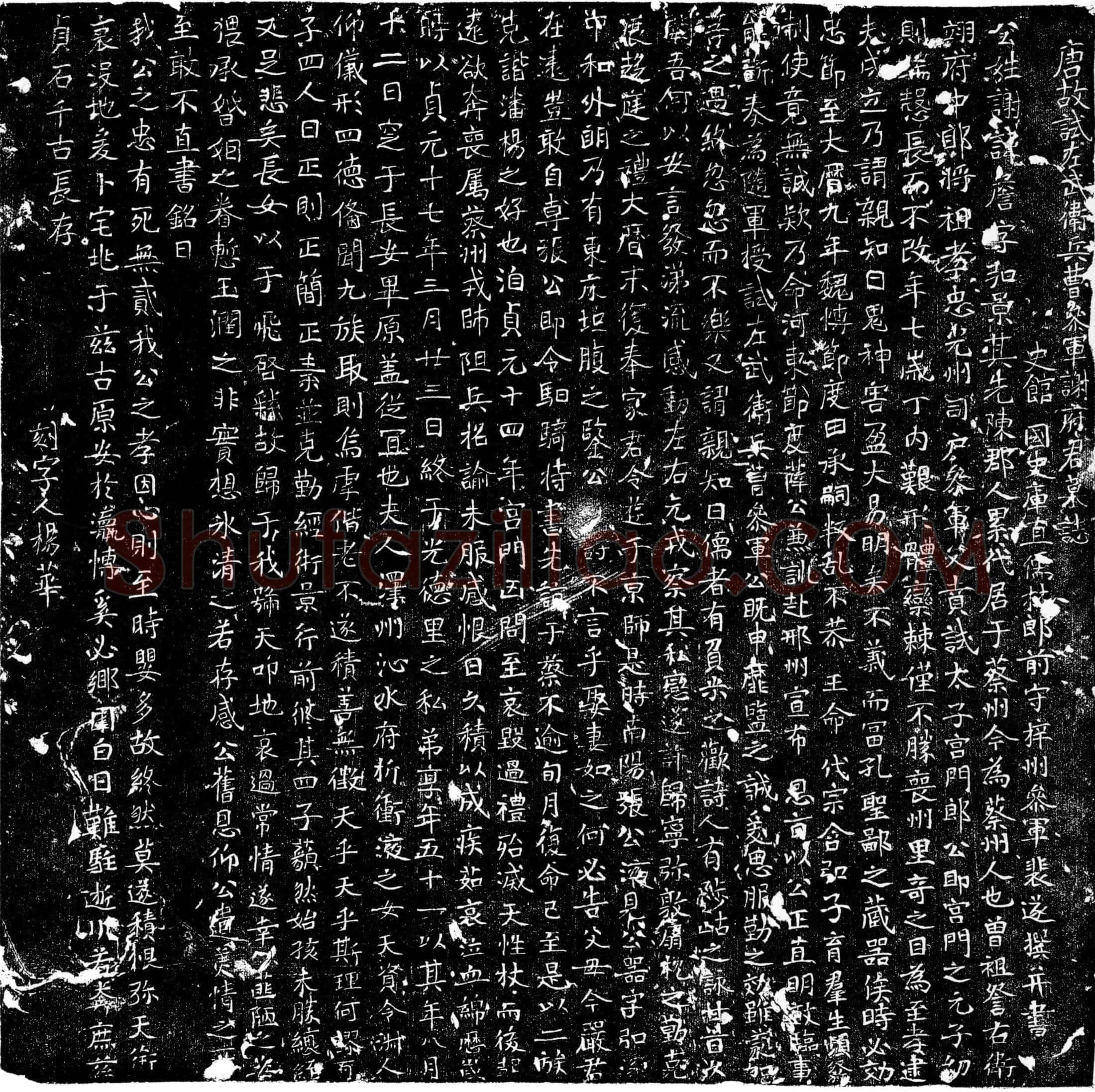 唐谢詹墓誌(唐故试左武卫兵曹参军谢府君墓誌)