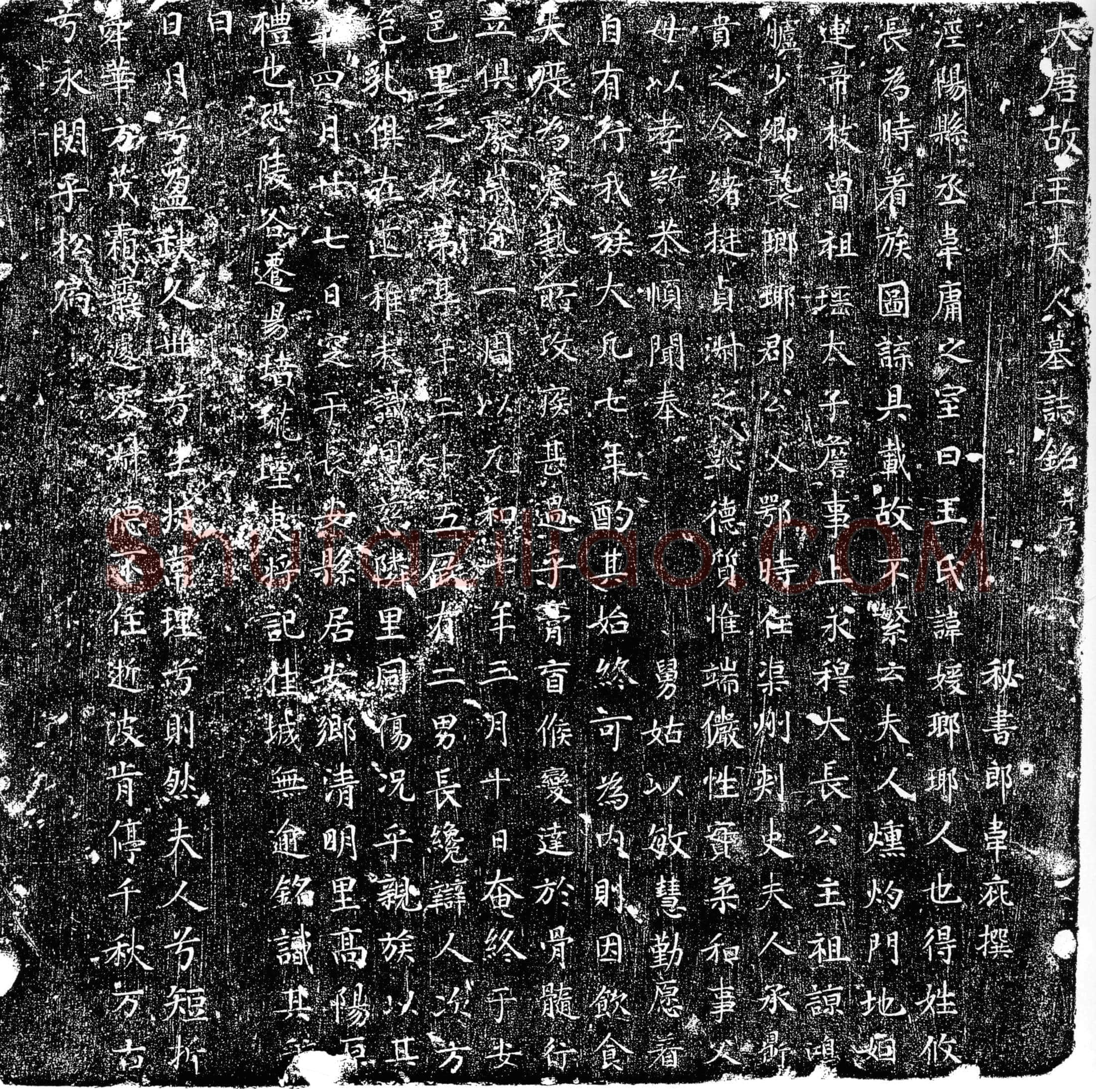 唐王媛墓誌(大唐故王夫人墓誌铭并序)