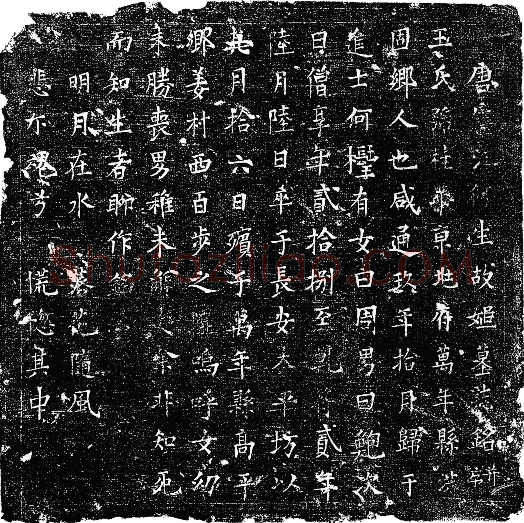 唐 墓誌