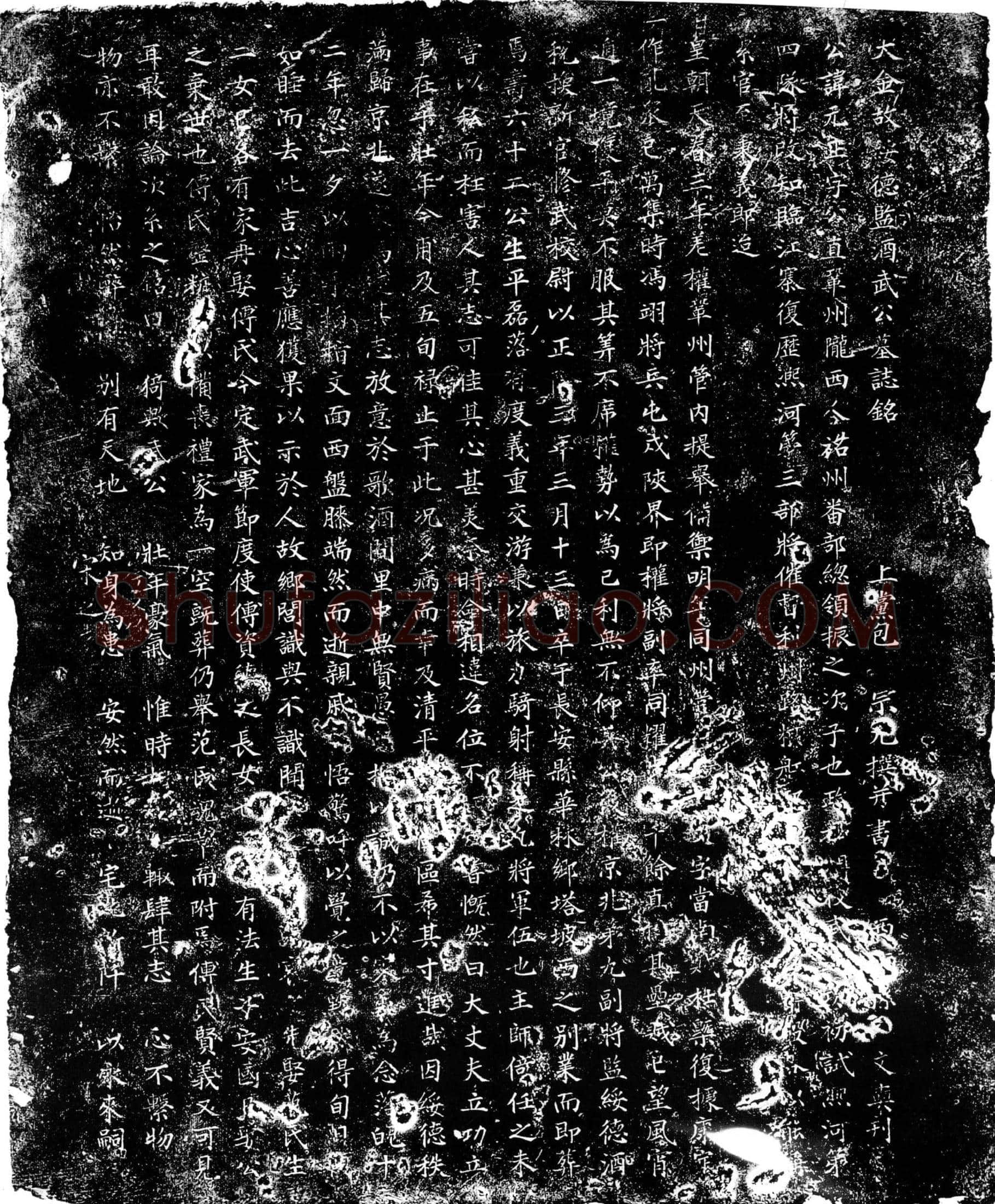 金 武元正 墓誌