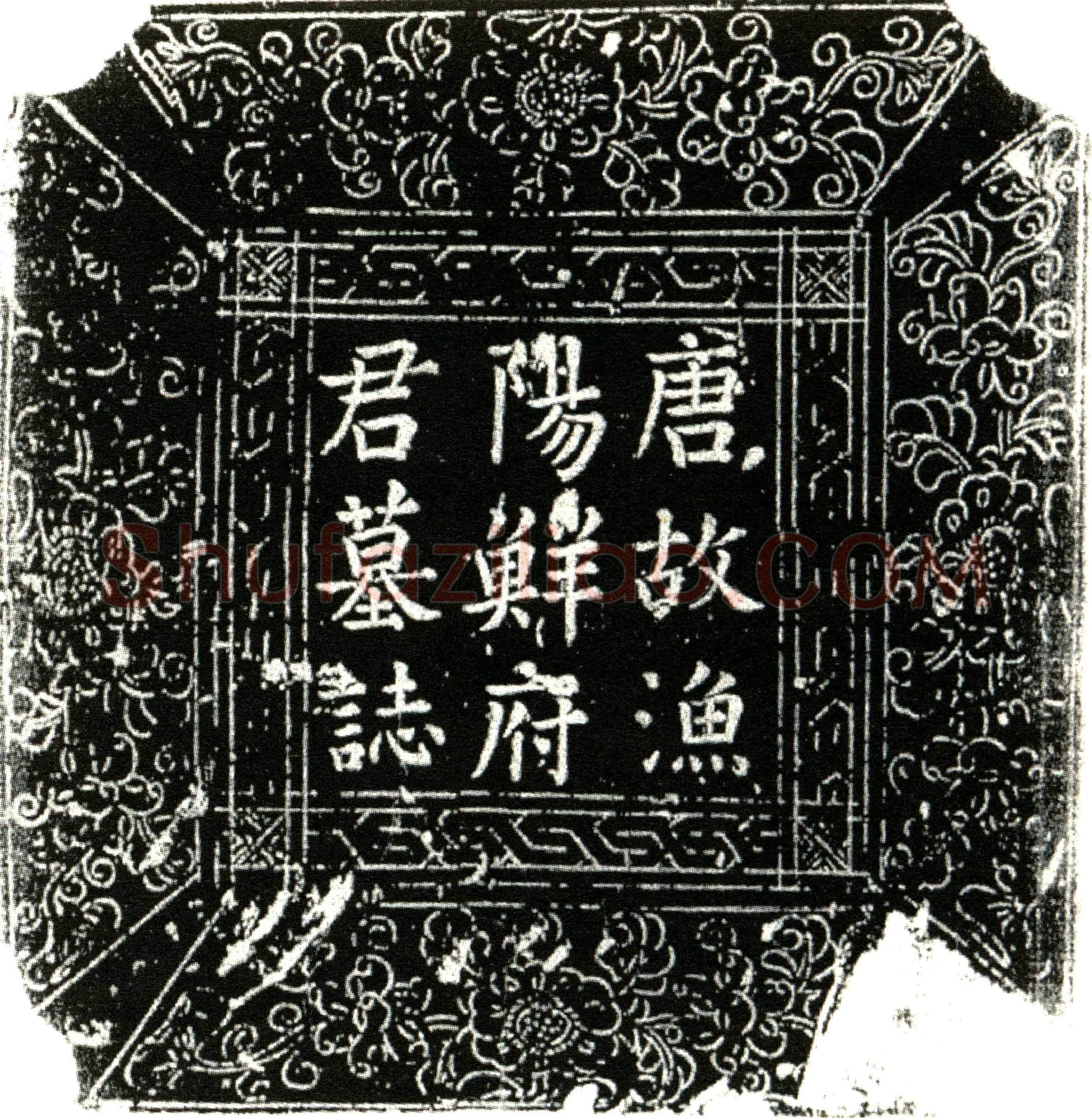 唐鲜腾，字顽之。墓誌(□唐故成都府助教鲜府君墓誌铭并序)