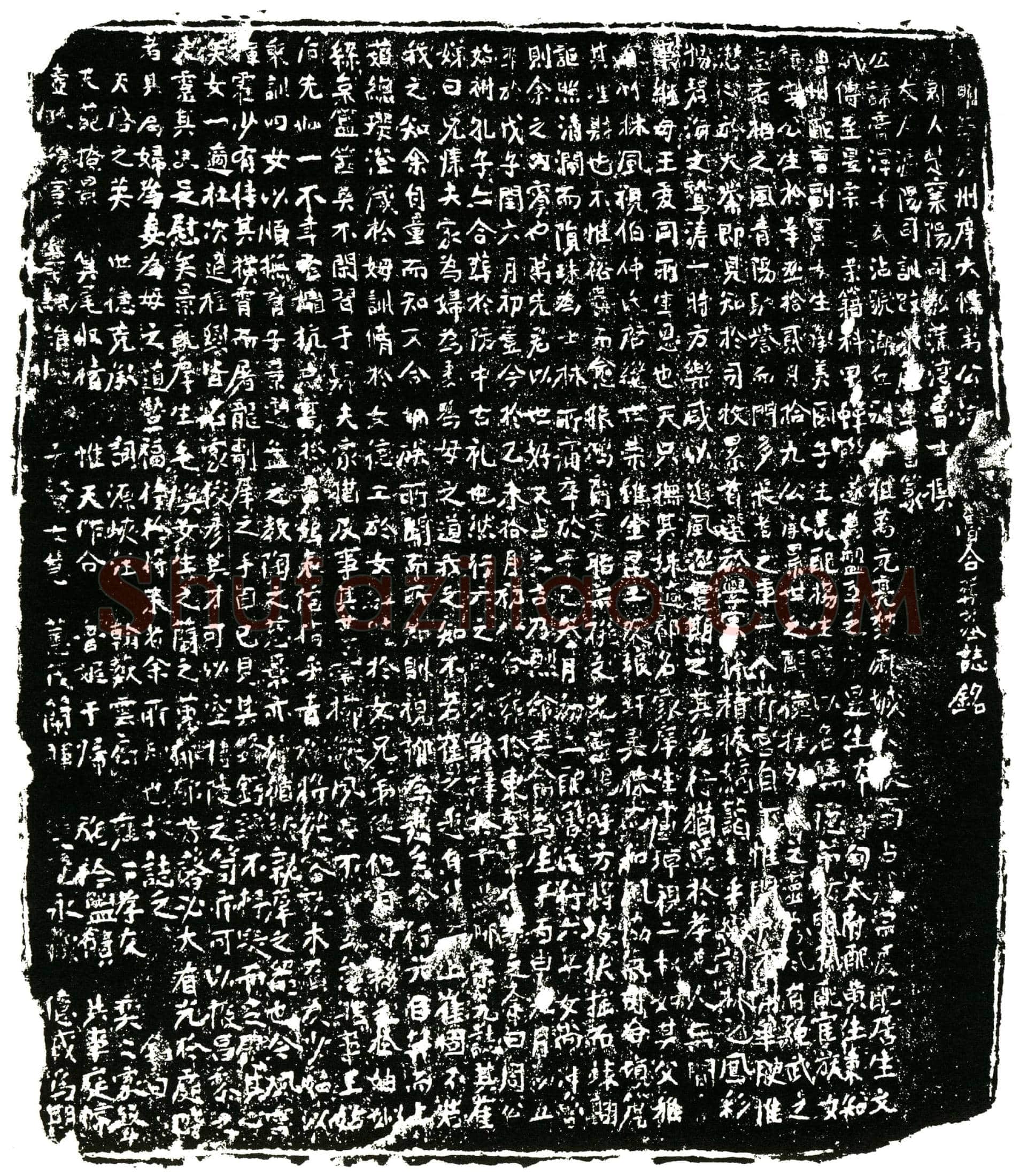 明万氏夫妇，万公讳膏泽，字民沾，号湖丘。其妇鲁氏墓誌(明崇庆州庠大儒万公湖□（丘）□（配）鲁合葬墓誌铭)
