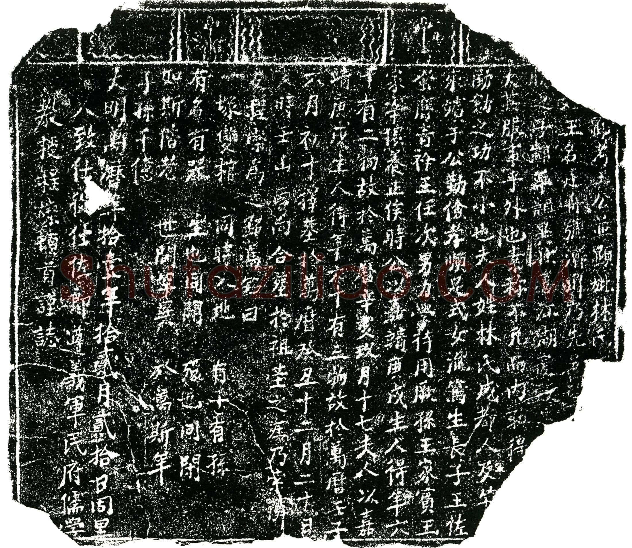 明 王公及其妻林氏。王公名廷舟 号济川 墓誌