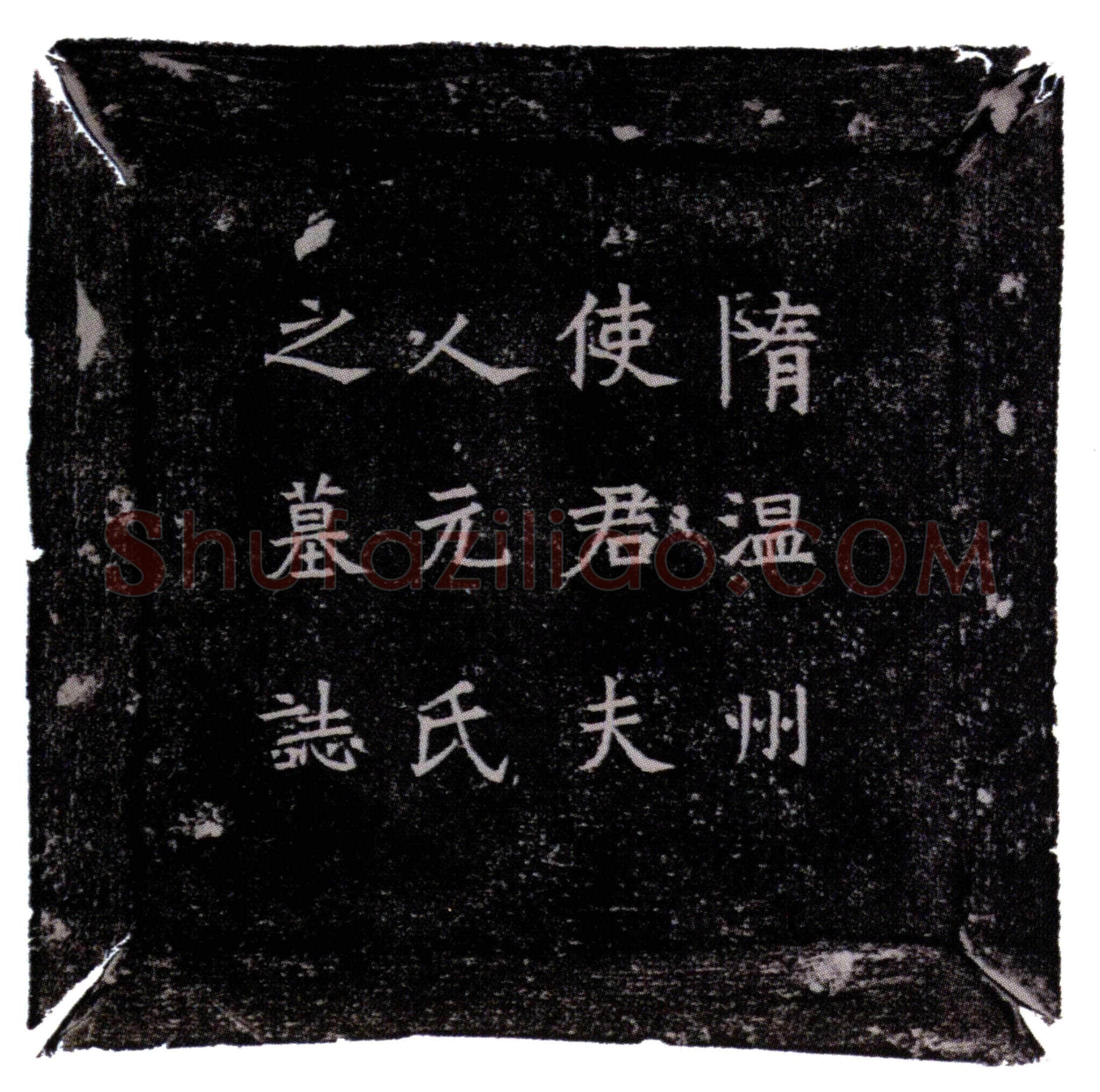隋 杨夫人元氏 墓誌