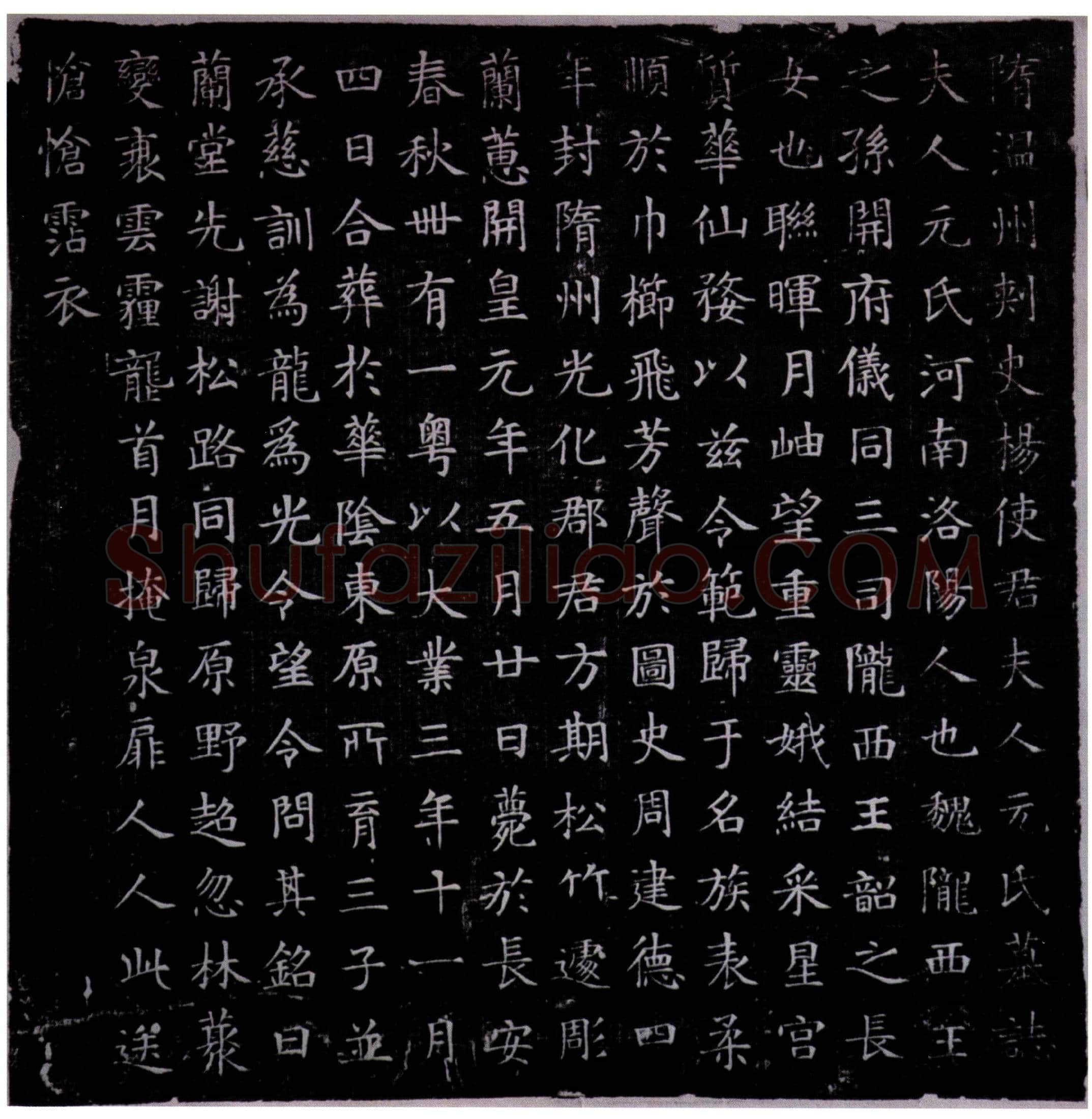隋 杨夫人元氏 墓誌