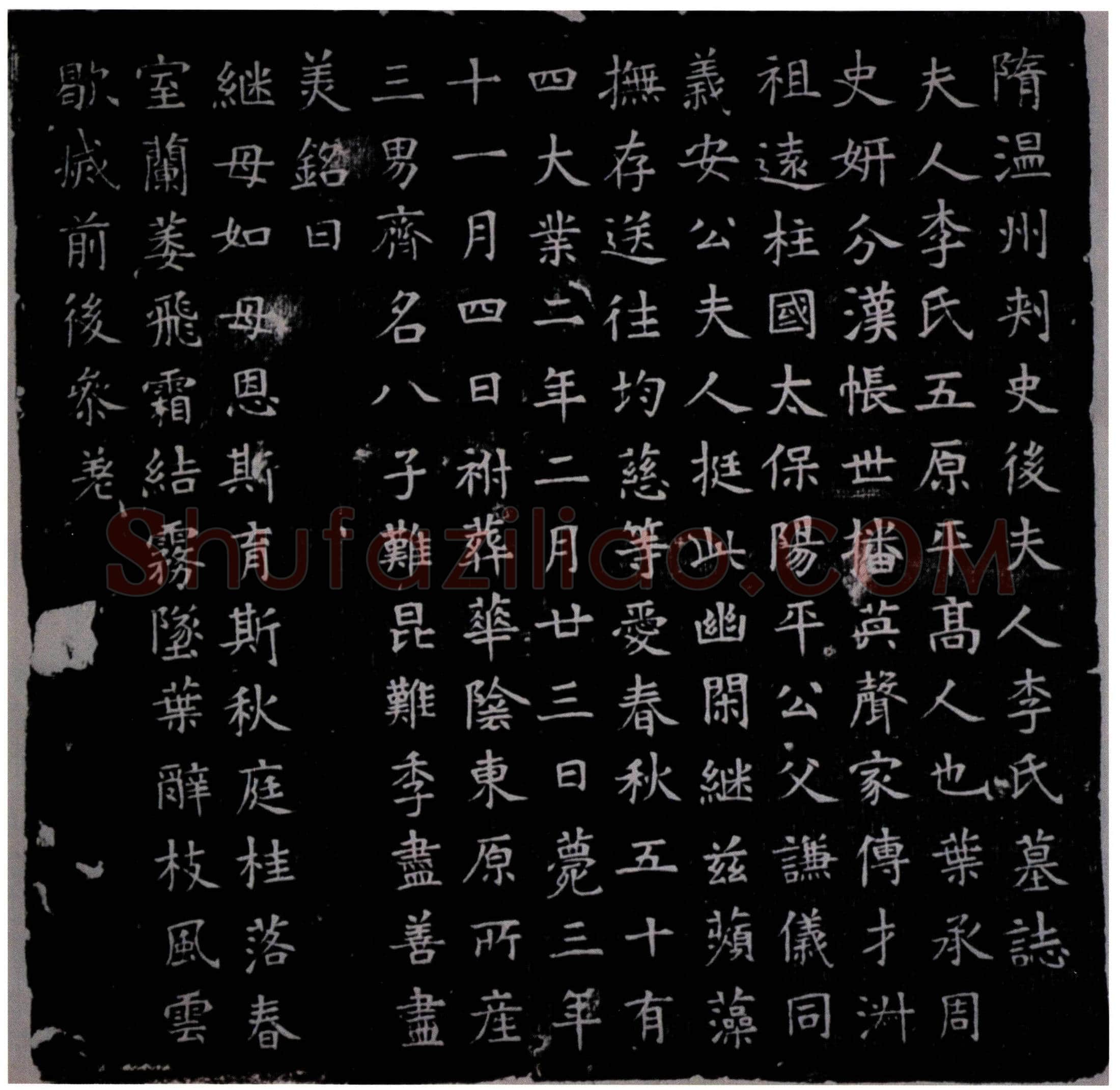 隋 杨君后夫人李氏 墓誌