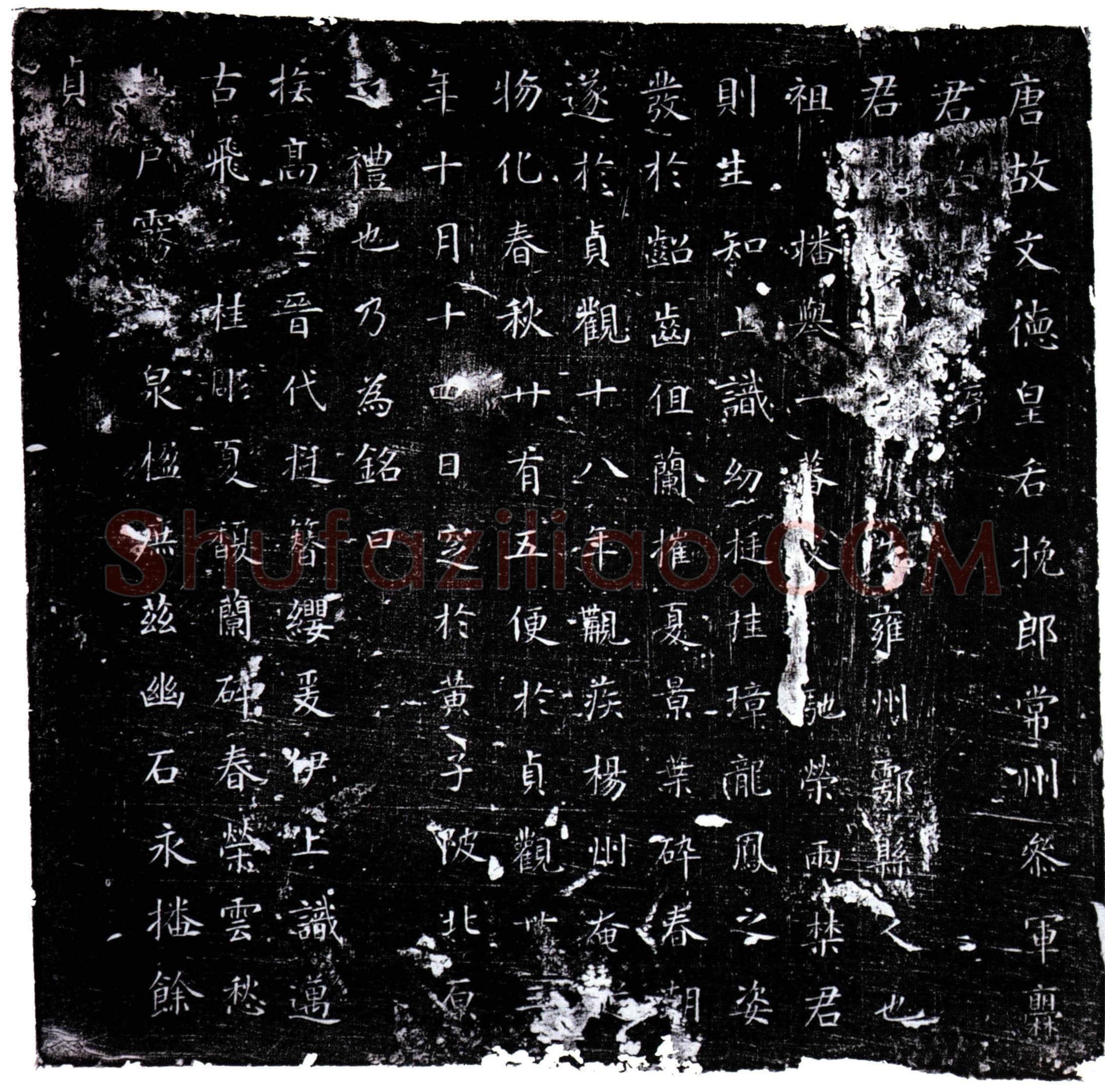 唐 爨君 墓誌