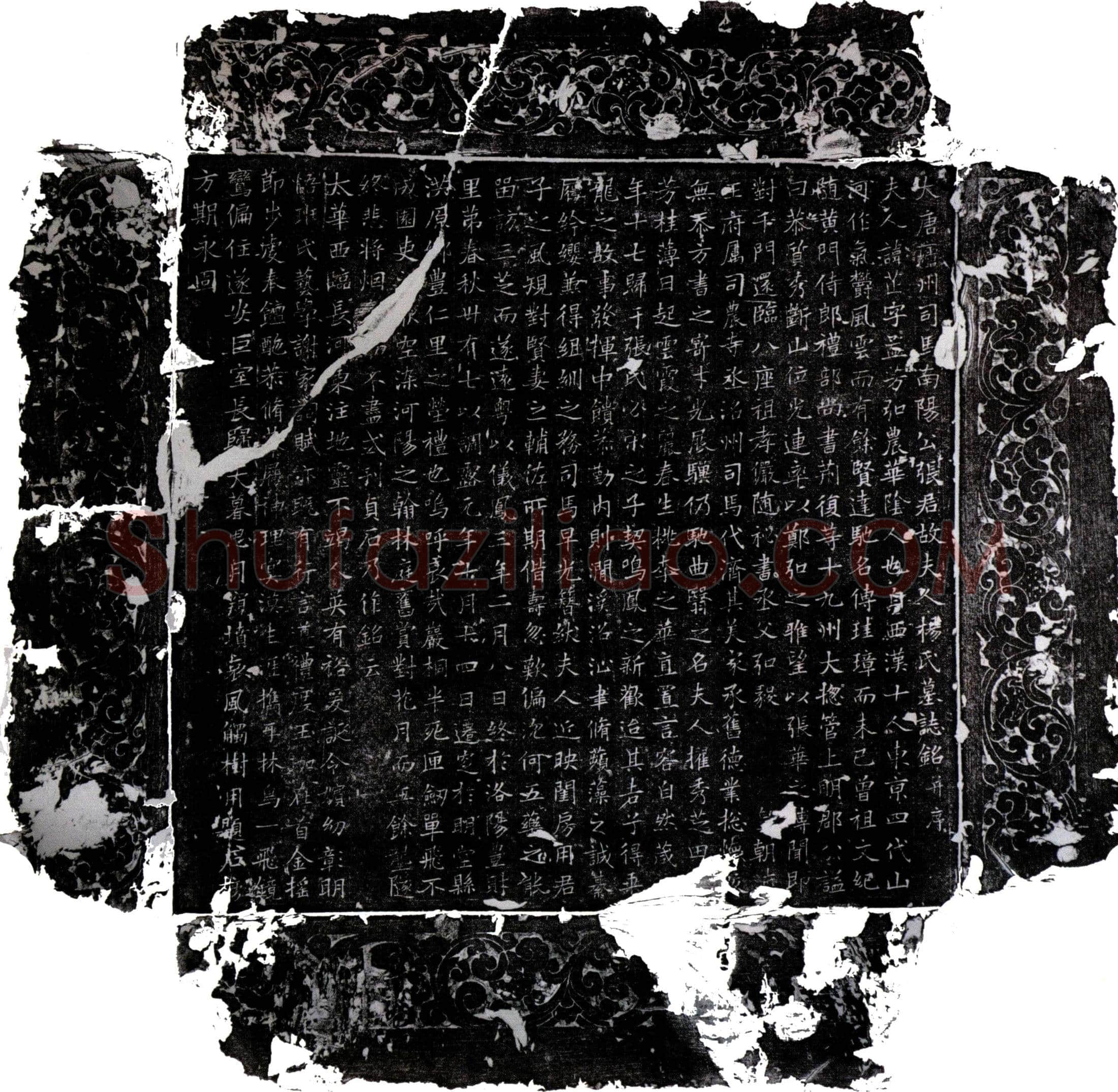 唐 杨芷 墓誌