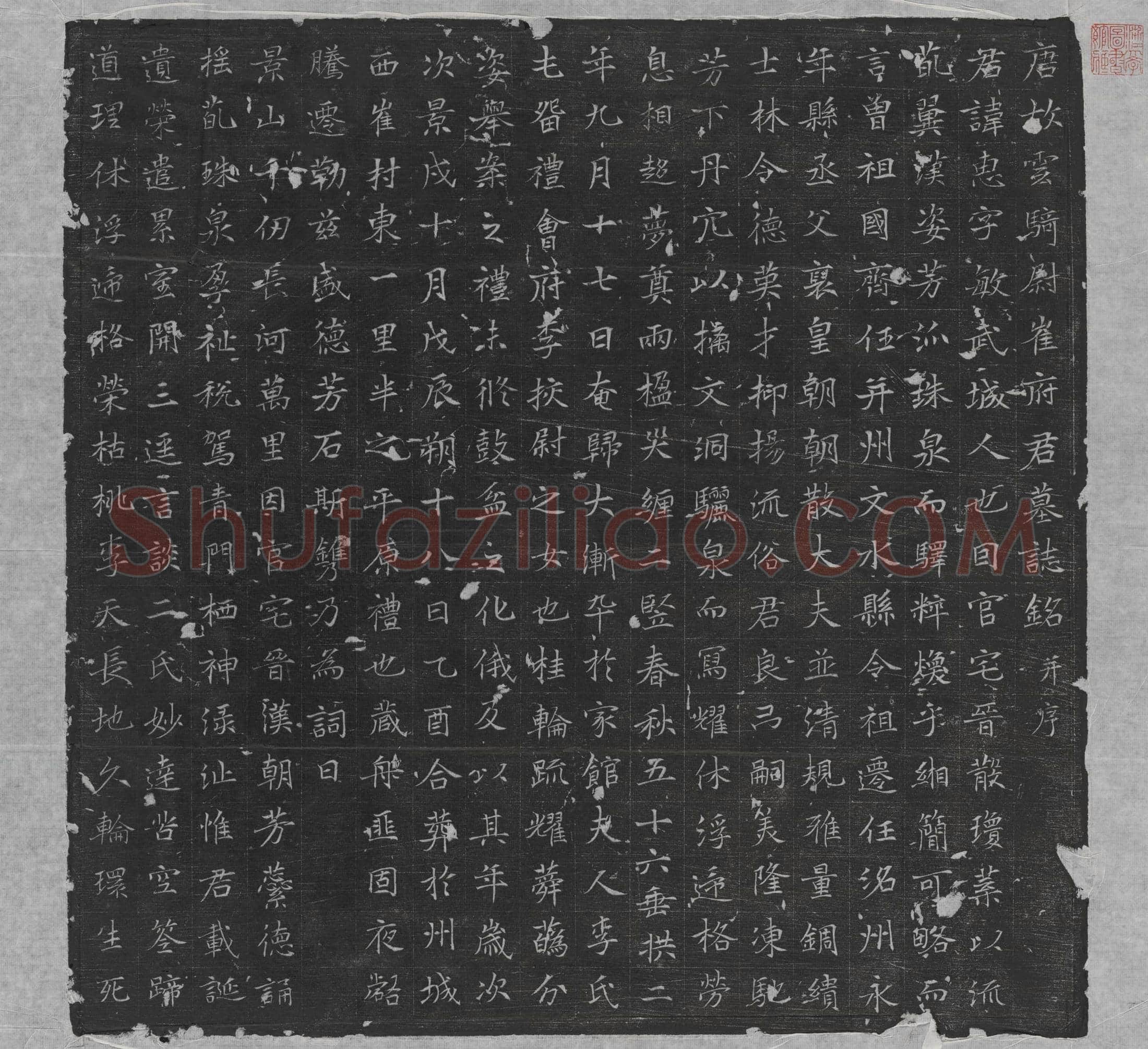 唐崔惠墓誌(唐故云骑尉崔府君墓誌铭并序)