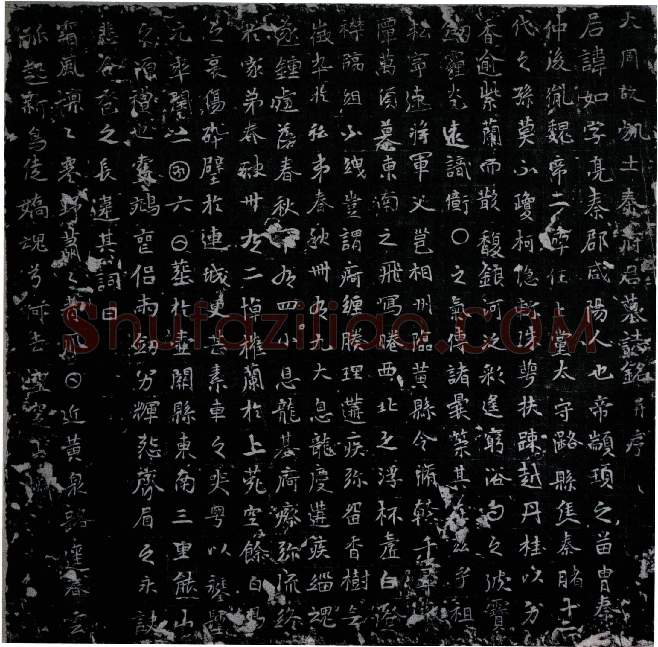 唐秦如墓誌(大周故处士秦府君墓誌铭并序)